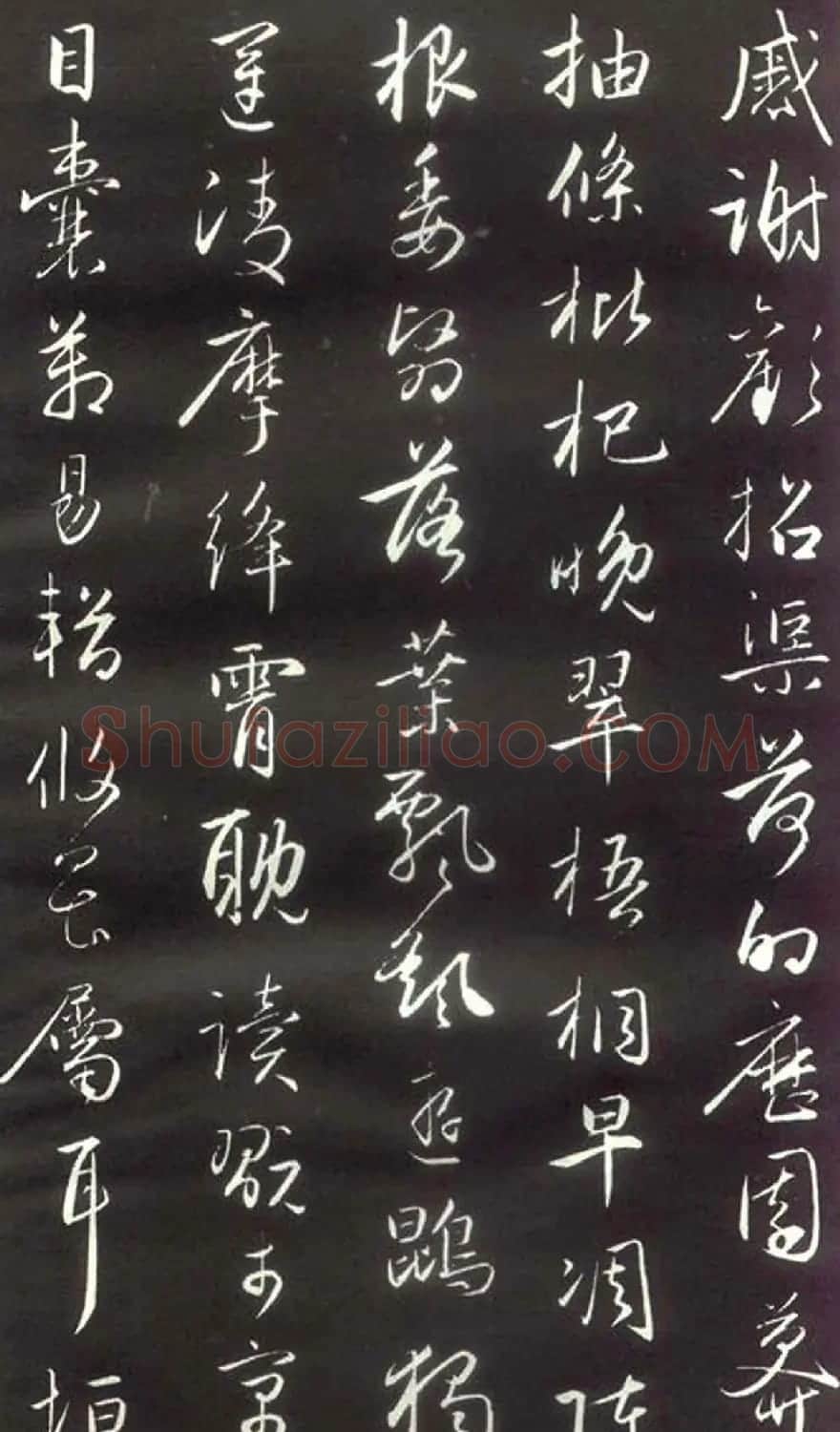 赵孟頫楷行草混合体《千字文》 | 名家书法作品赏析