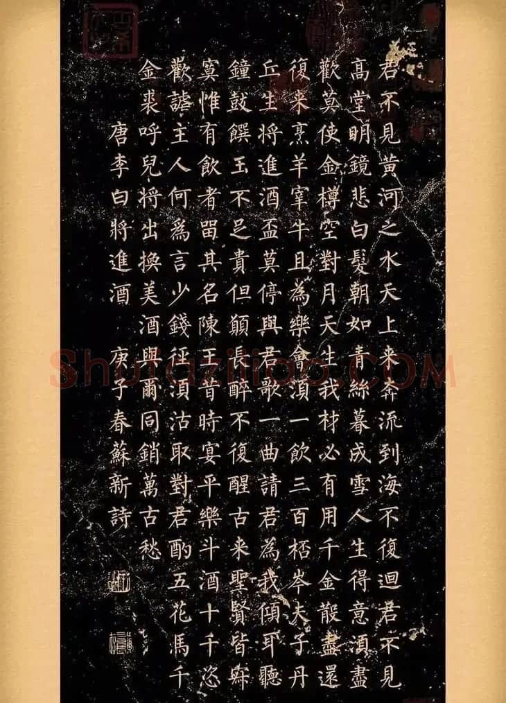 苏新诗柳体仿碑帖《李白将进酒》 | 书法作品赏析
