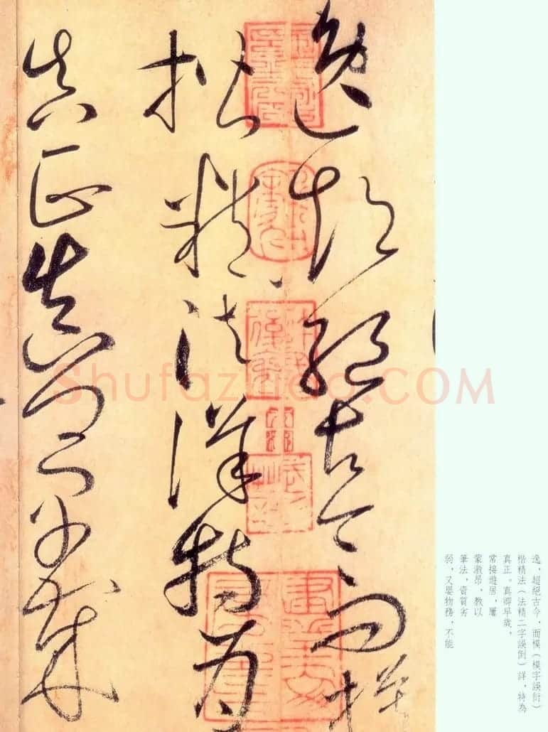 怀素草书《自叙帖》书法图片45P | 书法碑帖