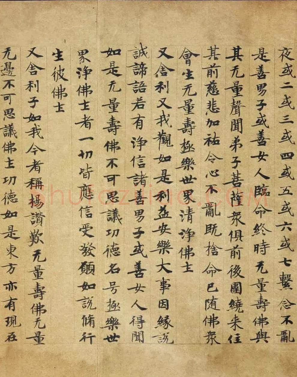 敦煌遗书《称赞净土佛摄受经》 | 敦煌写经精选