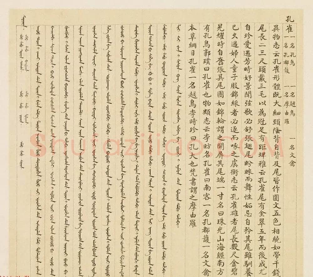 汉文满文字画欣赏《清人鸟谱册》 | 传世书法作品欣赏