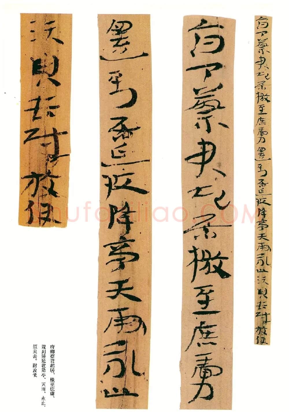 东汉章草隶体木简《误死马驹册》 | 书法作品欣赏