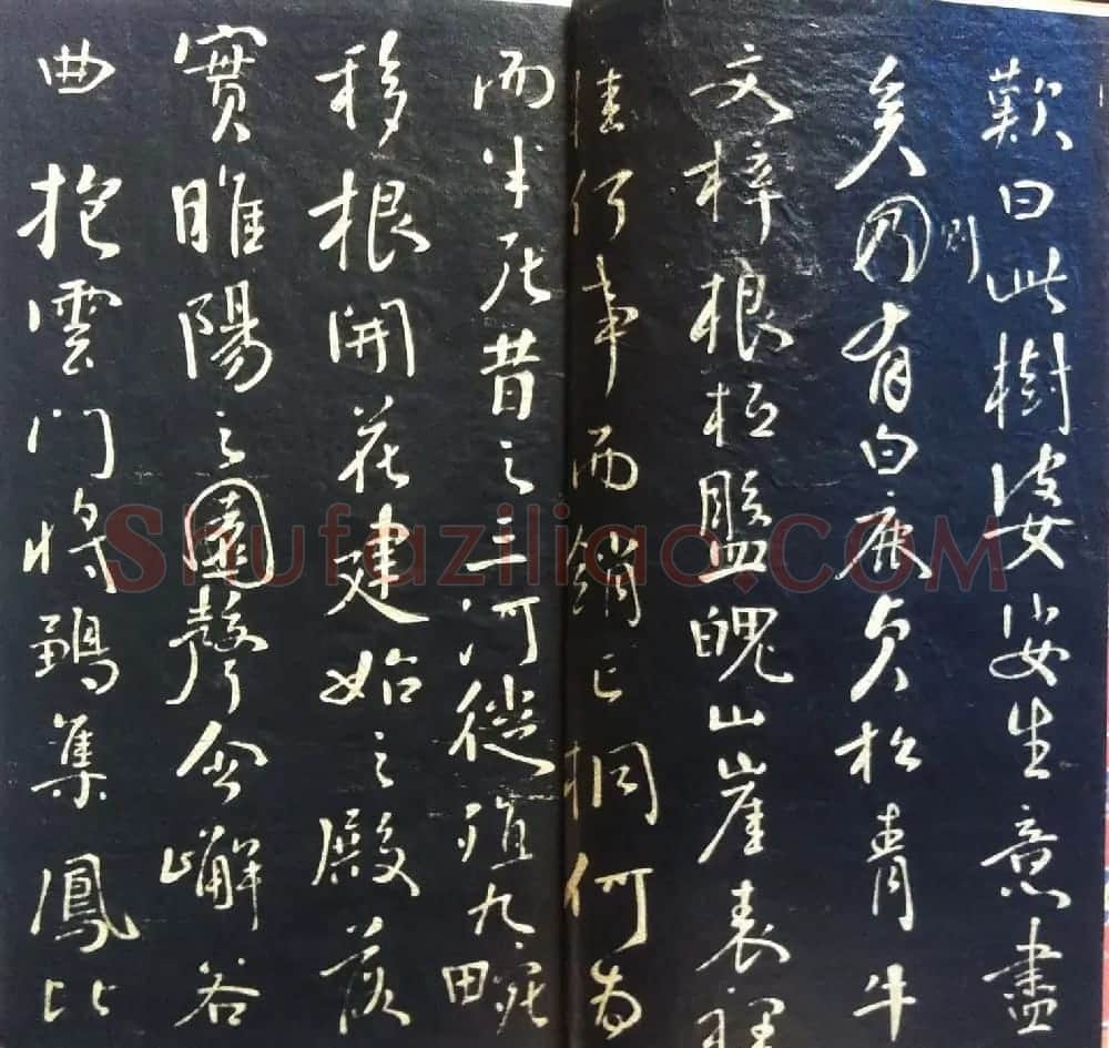 兰新家传书法碑帖分享《钱南园枯树赋》 | 毛笔书法作品