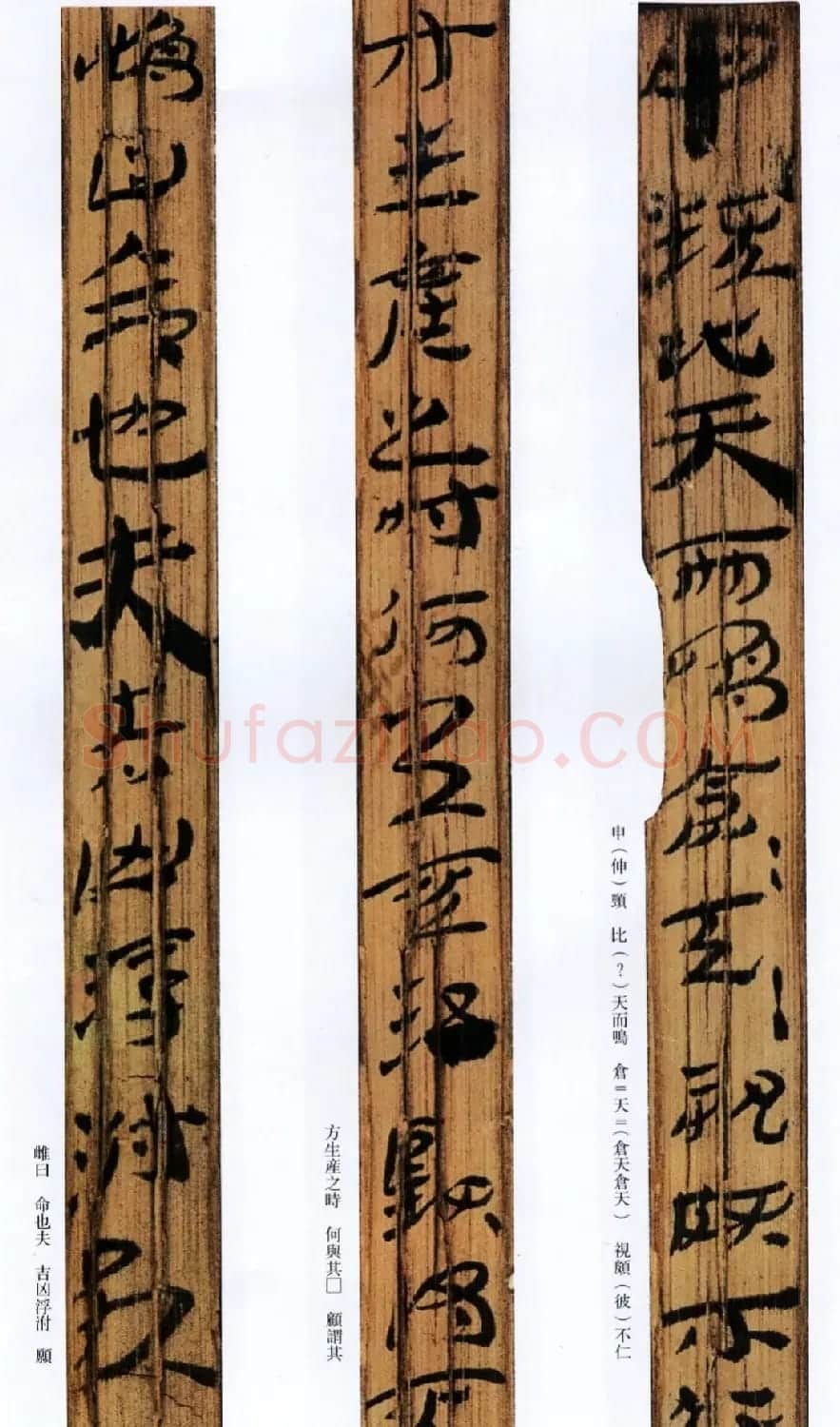 西汉草隶书法竹简《神乌傅》高清本 | 书法作品鉴赏