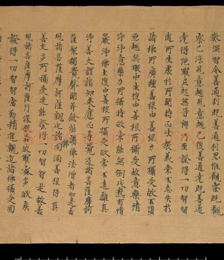 大般若波罗蜜多经卷第四百六十四 俄罗斯藏本 | 敦煌写经欣赏