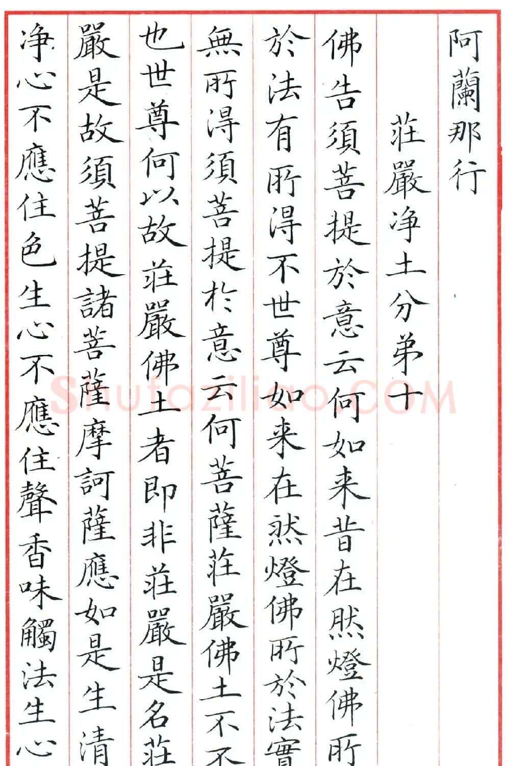 梁林小楷书法《金刚经三十二品》 | 书法作品鉴赏