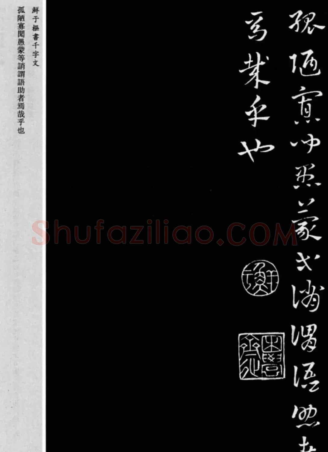 鲜于枢章草书法欣赏《千字文》大图 | 软笔草书字帖