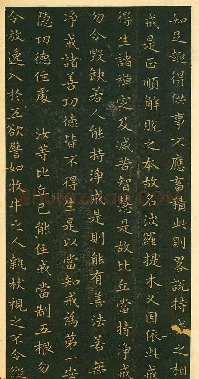 王羲之小楷作品《佛遗教经》 | 名家书法作品赏析