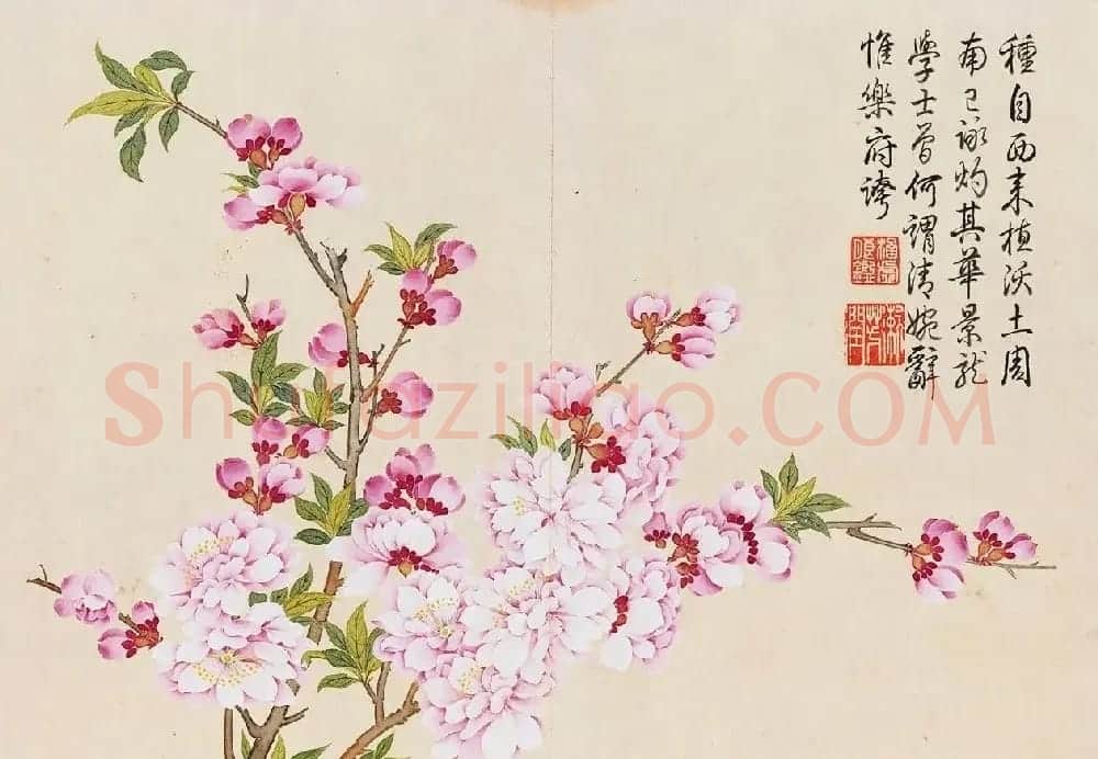 乾隆书法御题钱维城花卉册页 | 传世书法作品欣赏