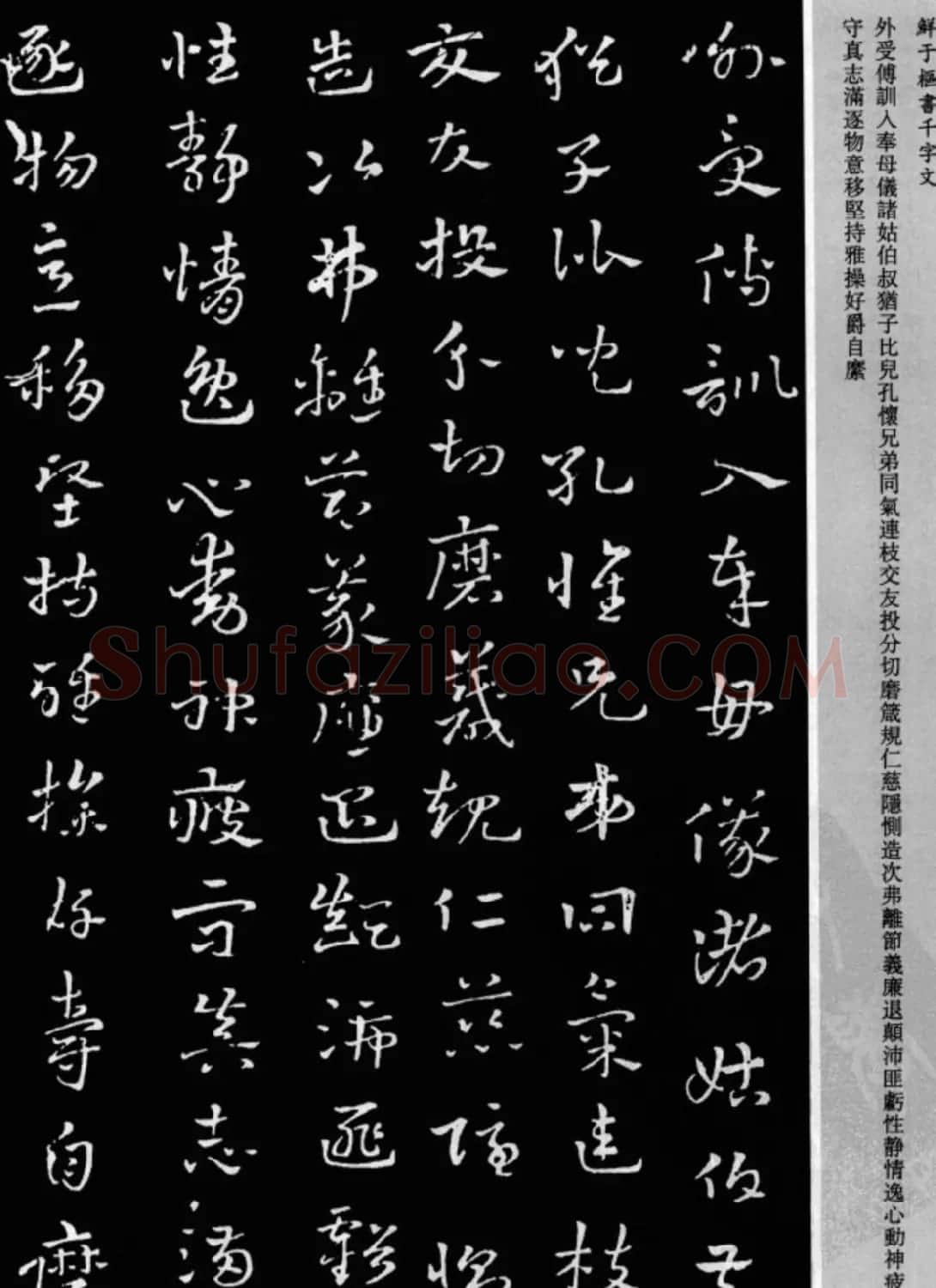 鲜于枢章草书法欣赏《千字文》大图 | 软笔草书字帖