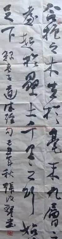 张改琴书法作品欣赏 | 软笔书法作品