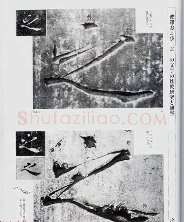 荒金大琳编著《褚遂良雁塔圣教序扩大观察记录》 | 毛笔楷书字帖