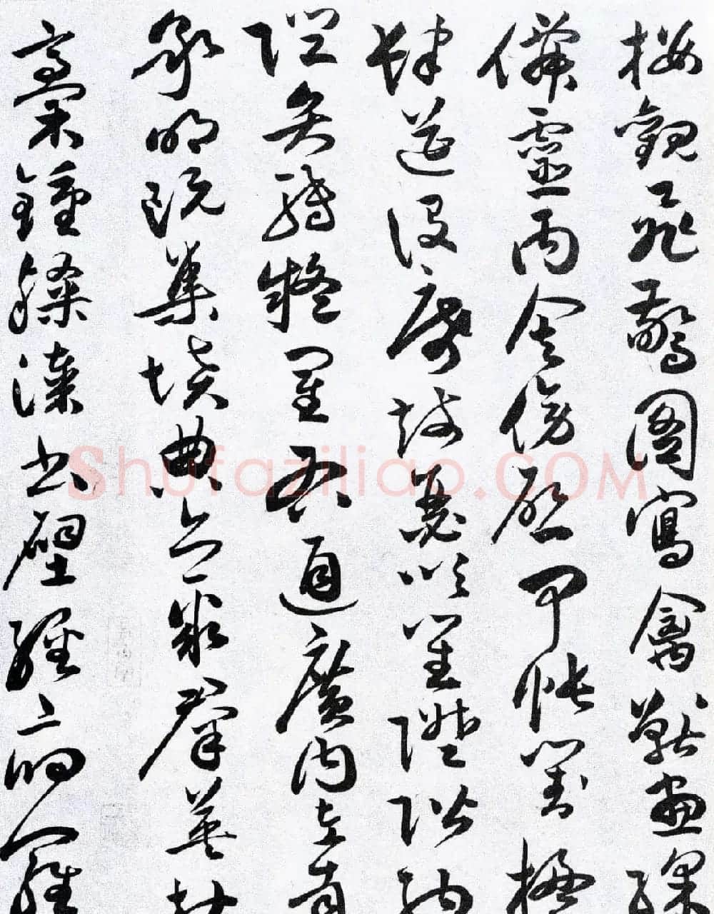 明代草书第一人祝允明《草书千字文卷》两种 | 书法长卷