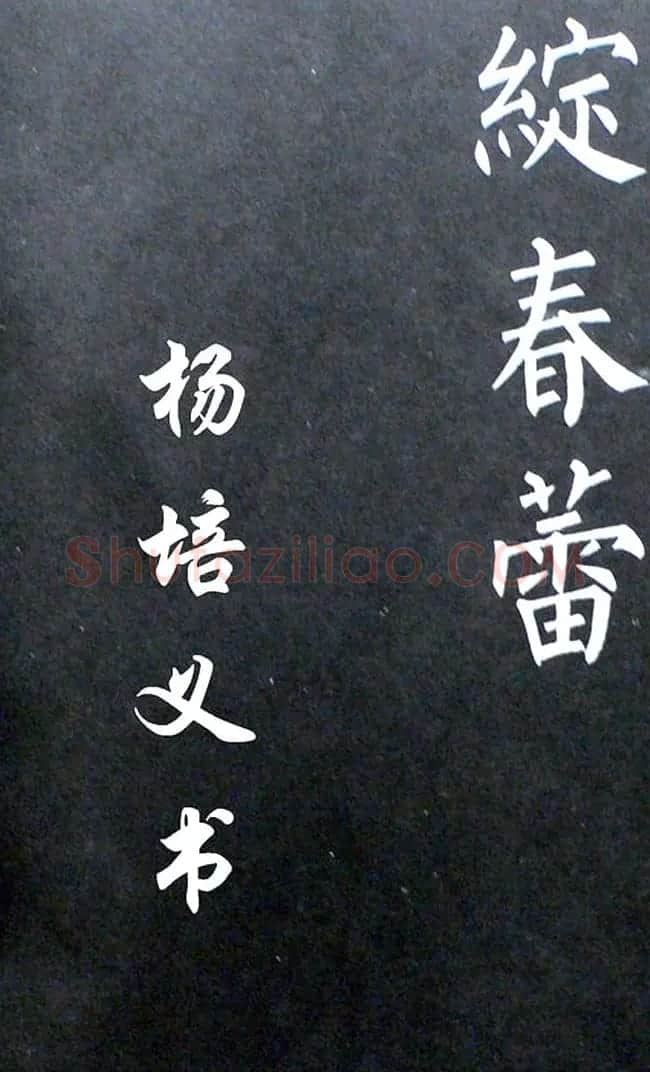 杨培义书法欣赏《柳体楷书唐诗字帖》 | 软笔楷书字帖
