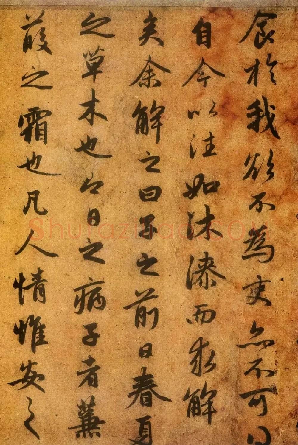 赵孟頫书法墨迹精品送秦少章序 | 名家书法作品赏析