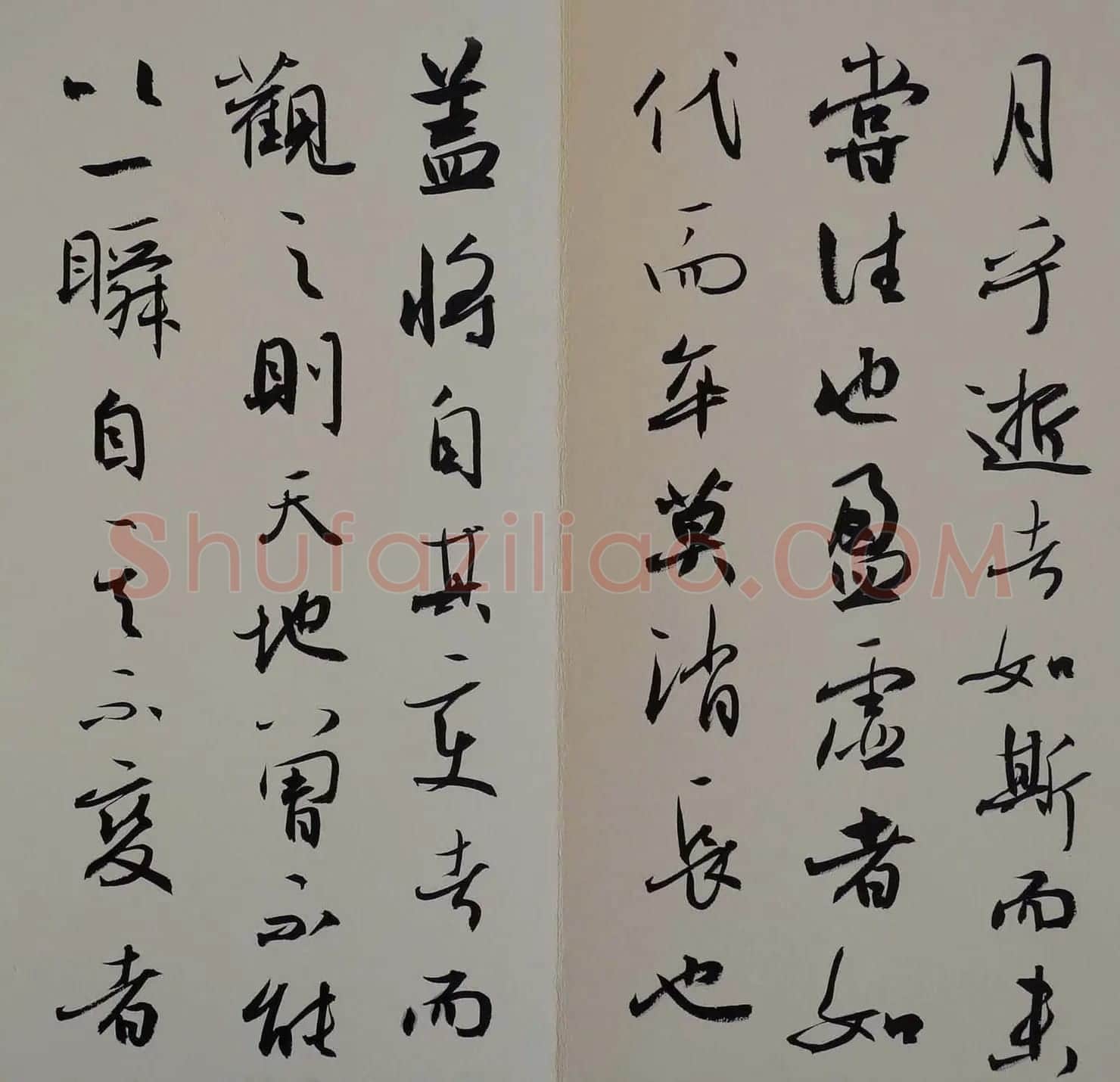 方放书法作品欣赏《苏轼赤壁赋》 | 书法作品欣赏