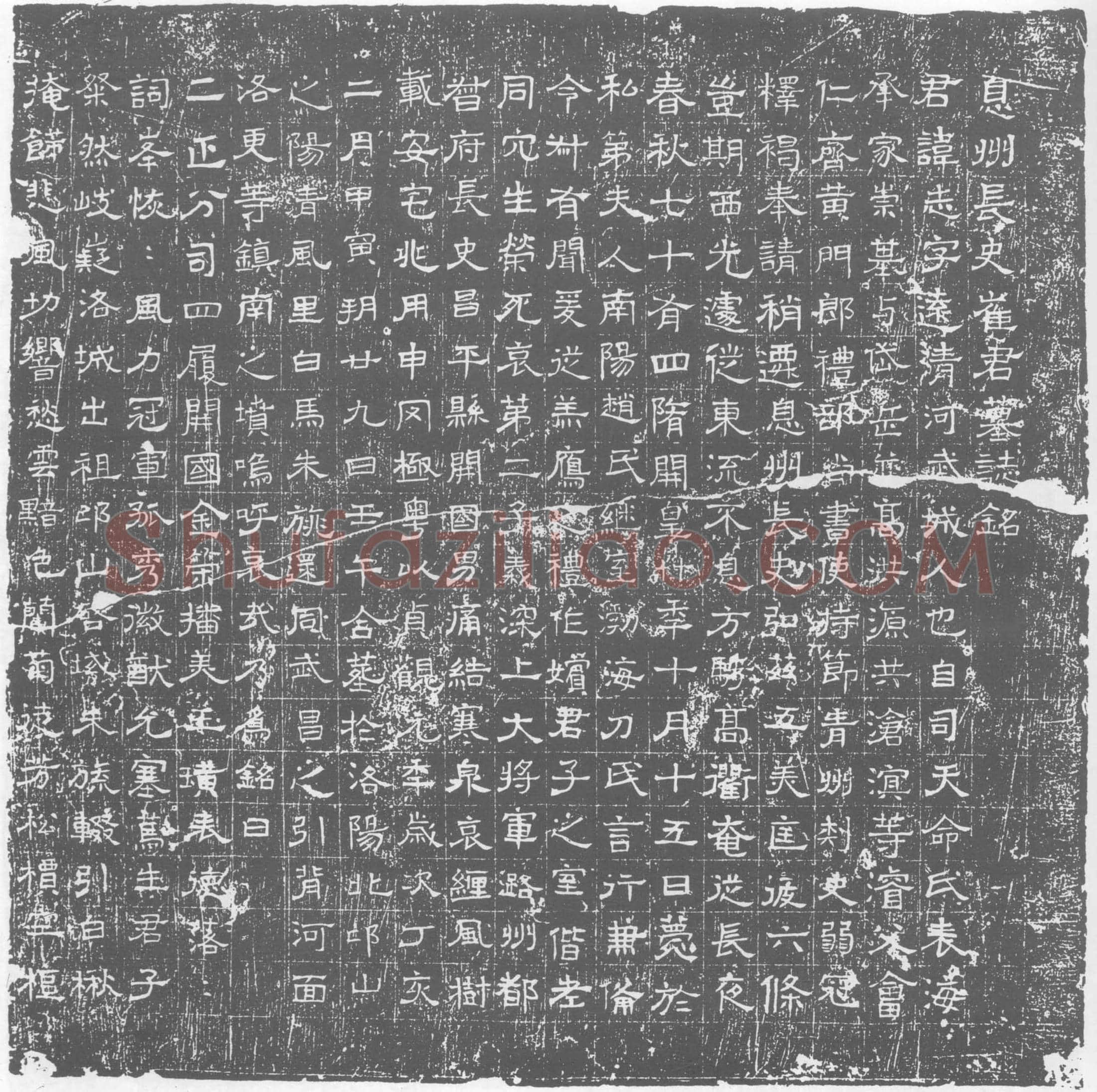 唐崔志墓誌(息州长史崔君墓誌铭)
