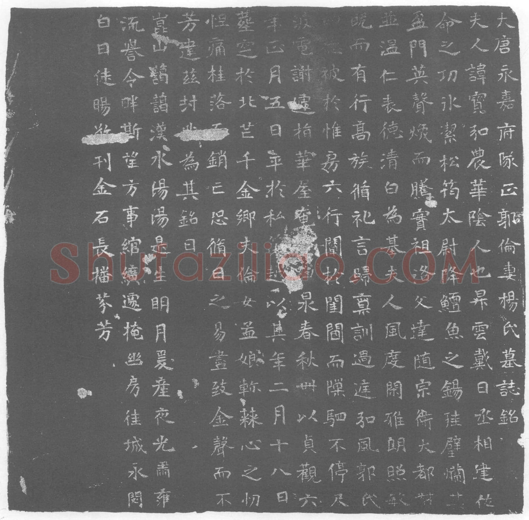 唐 杨寳 墓誌