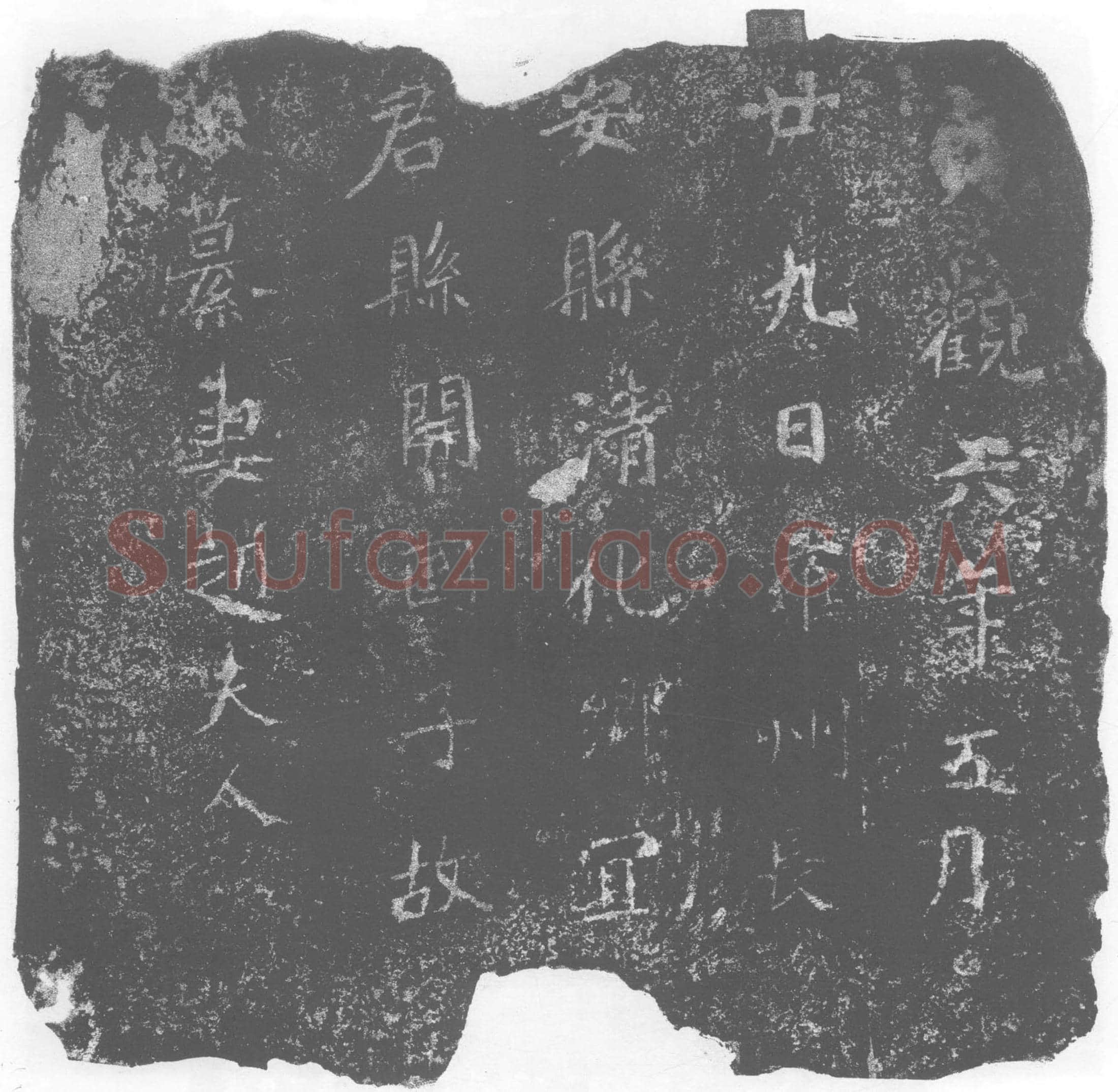 唐 赵夫人 墓誌