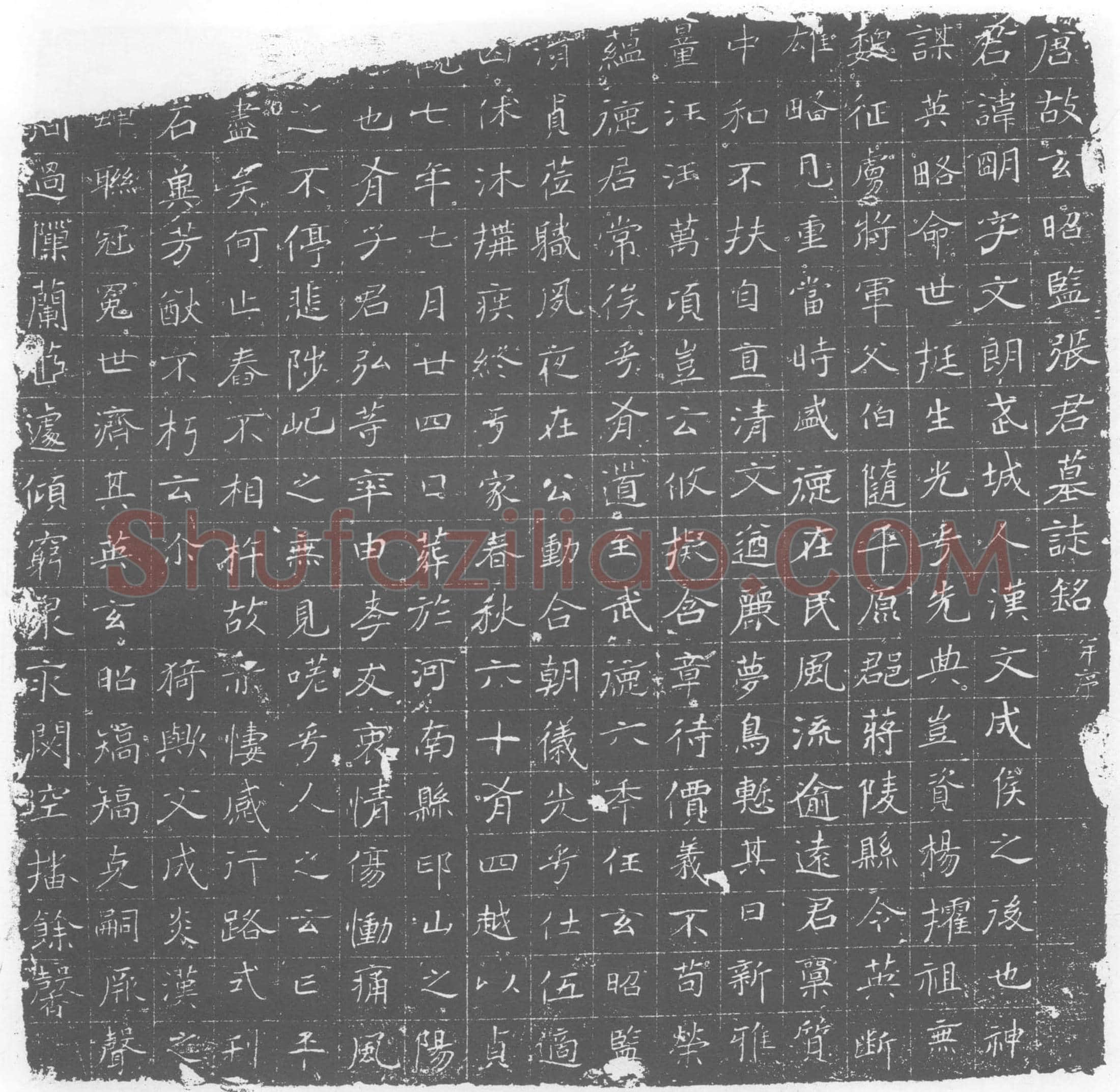 唐 张明 墓誌