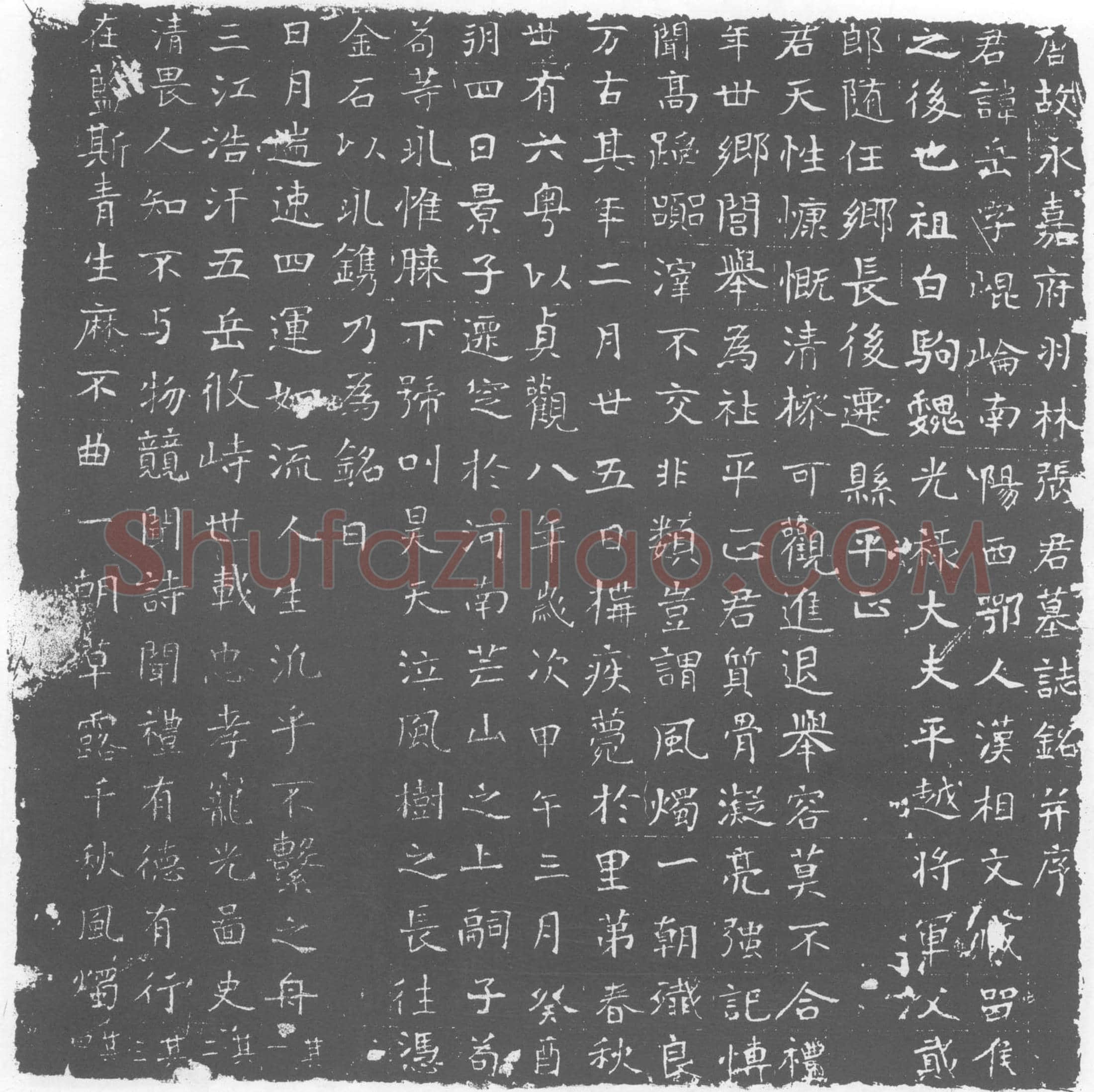 唐张岳墓誌(唐故永嘉府羽林张君墓誌铭)