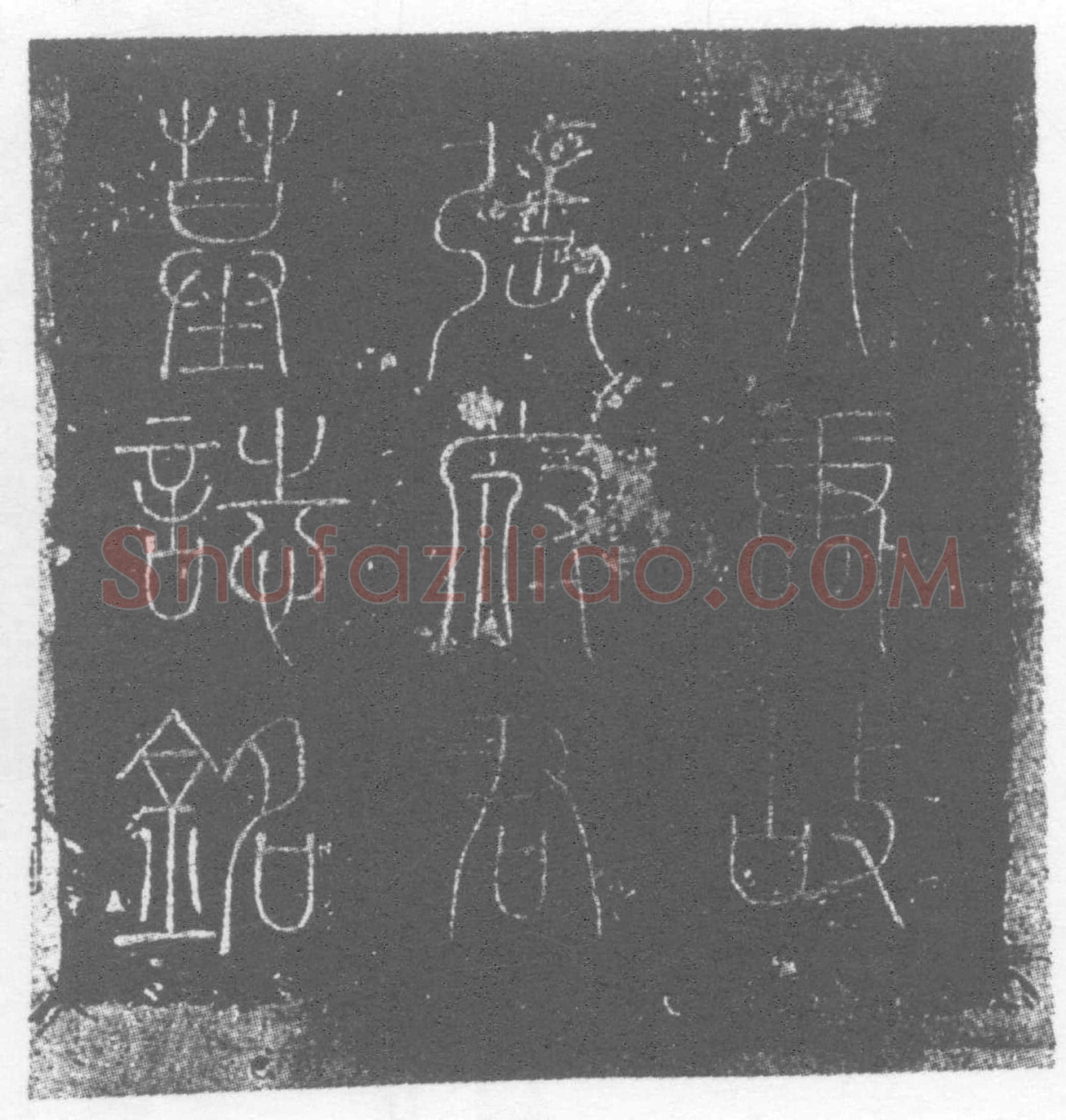 唐张岳墓誌(唐故永嘉府羽林张君墓誌铭)
