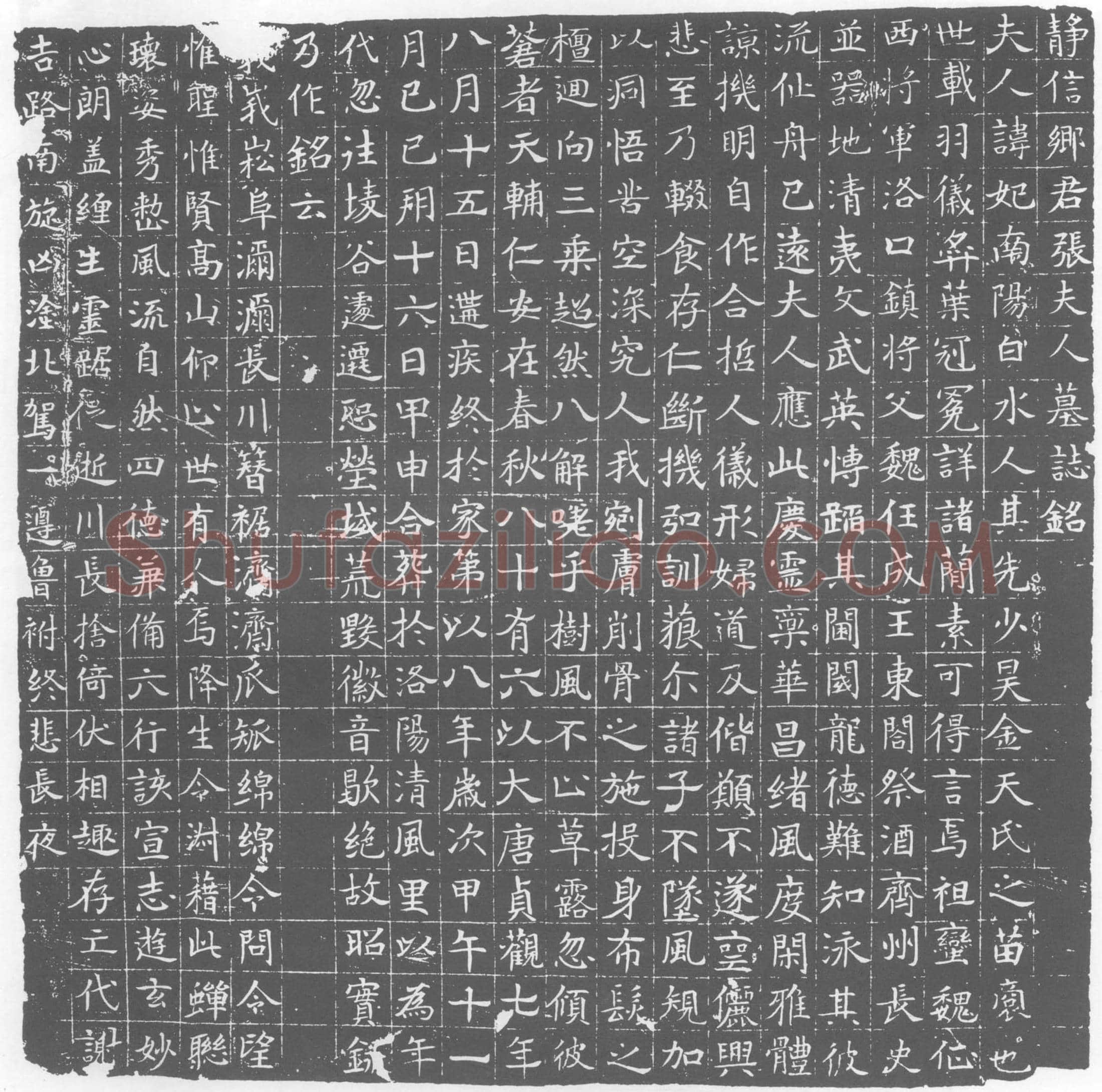 唐 张妃 墓誌
