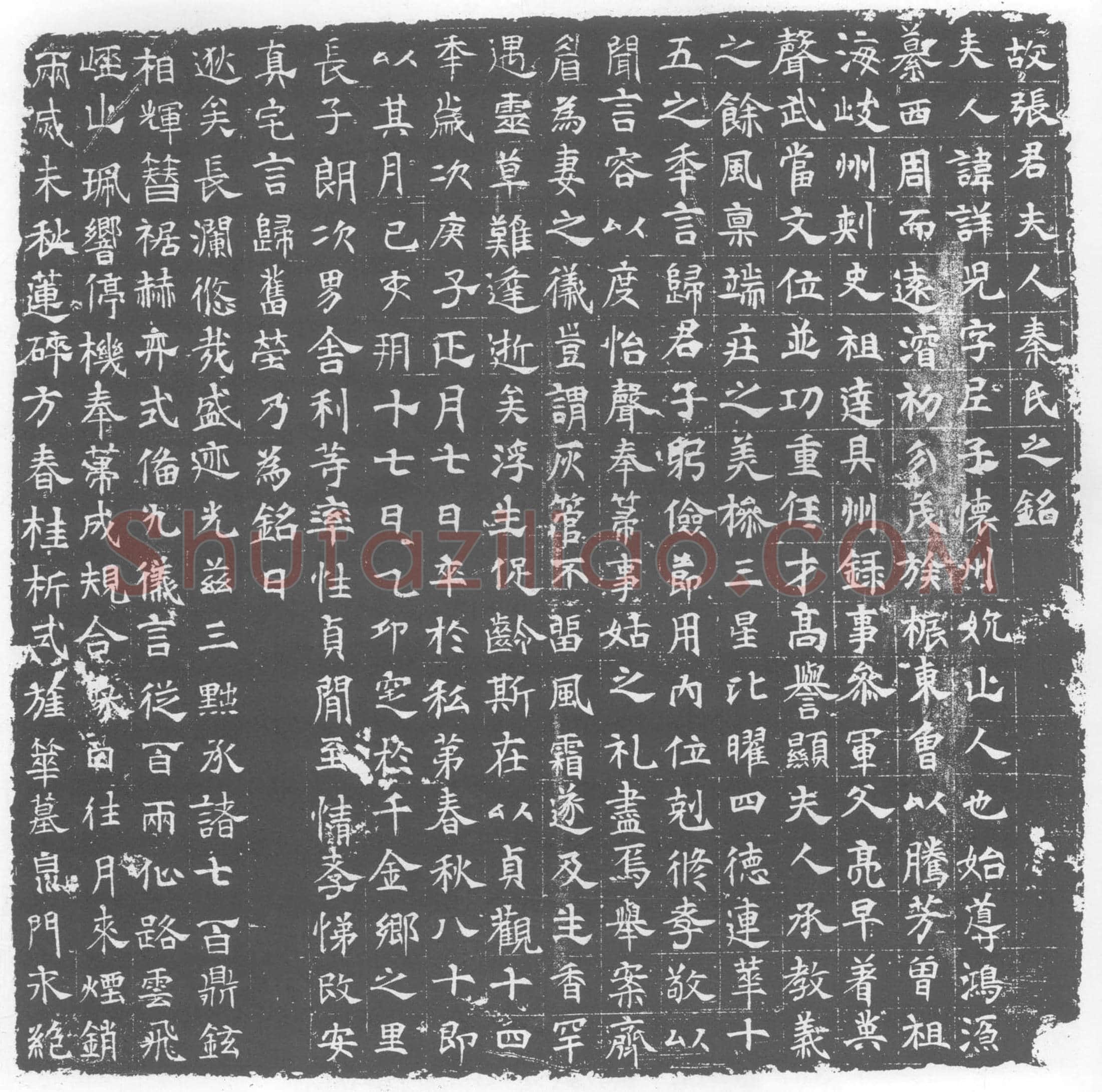 唐 秦详儿 墓誌