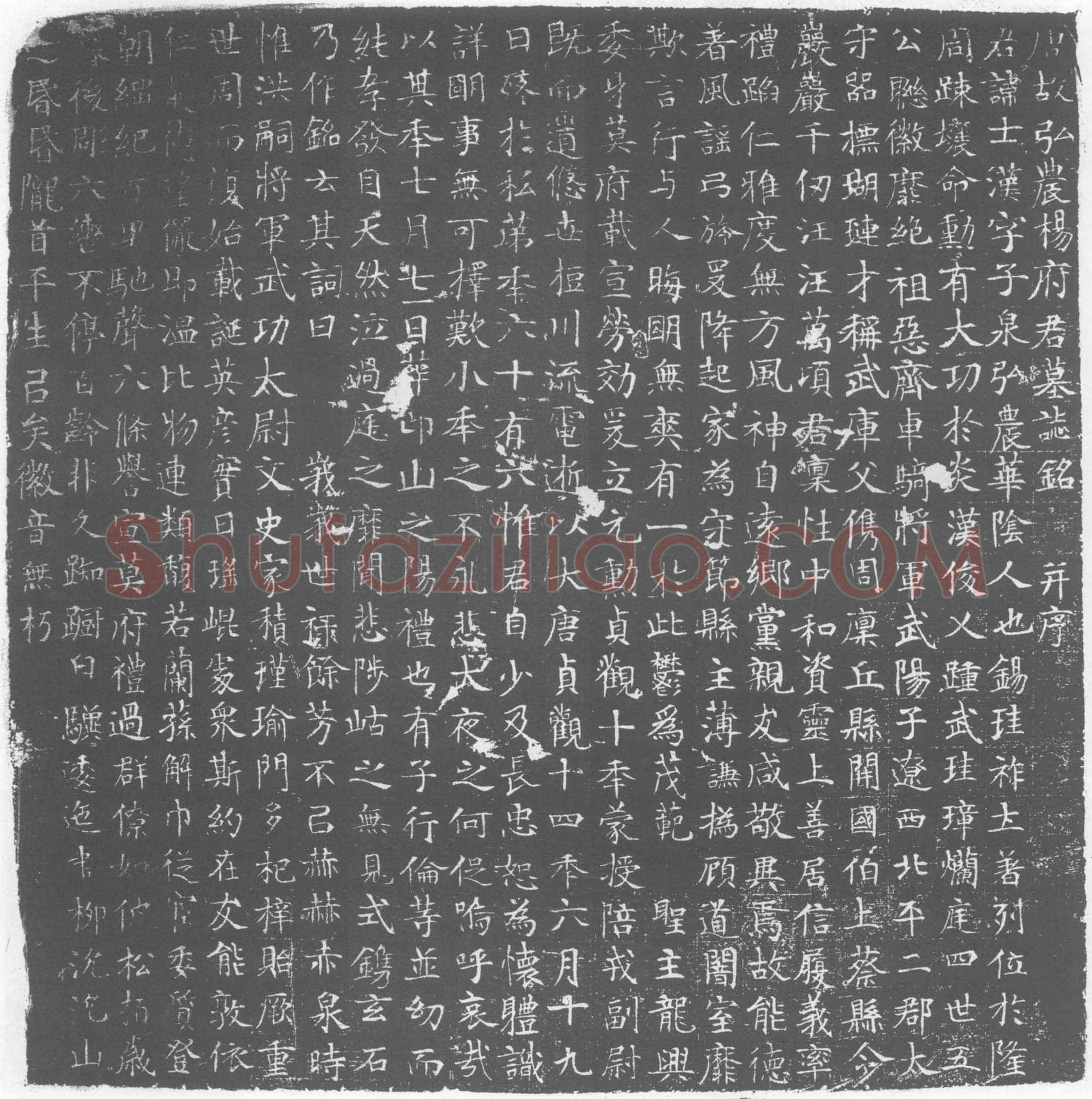 唐 杨士汉 墓誌