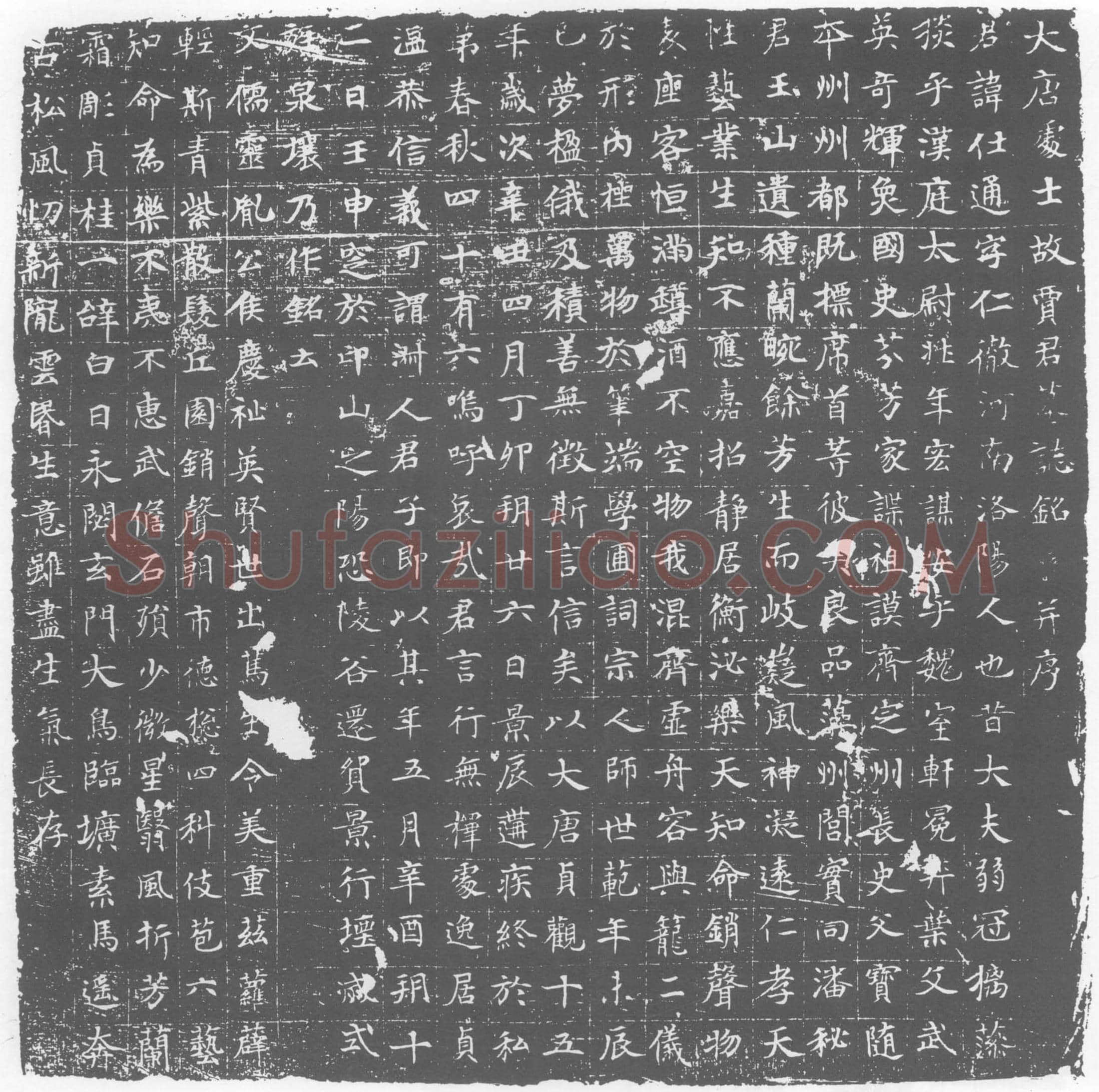 唐贾仕通墓誌(大唐处士故贾君墓誌铭)