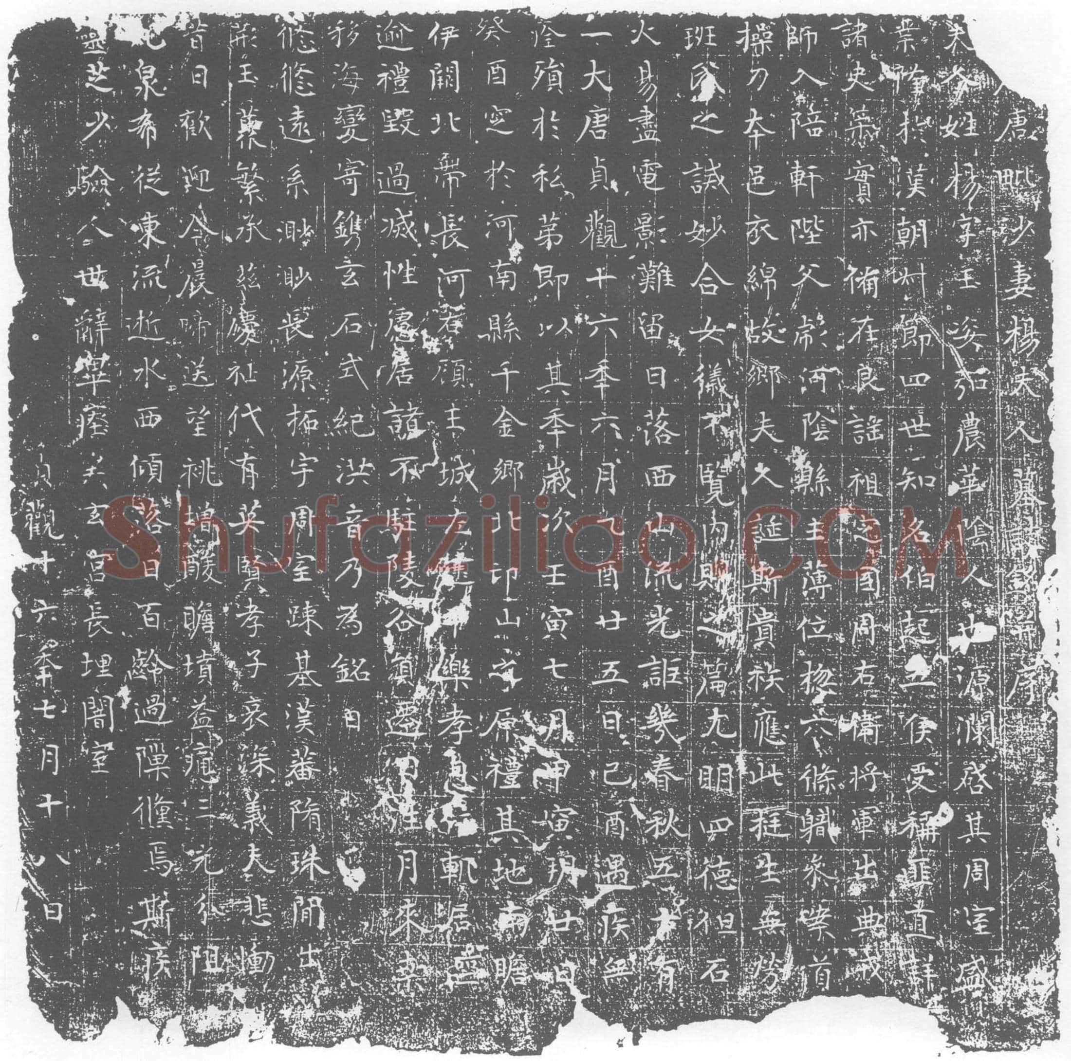 唐 杨玉姿 墓誌