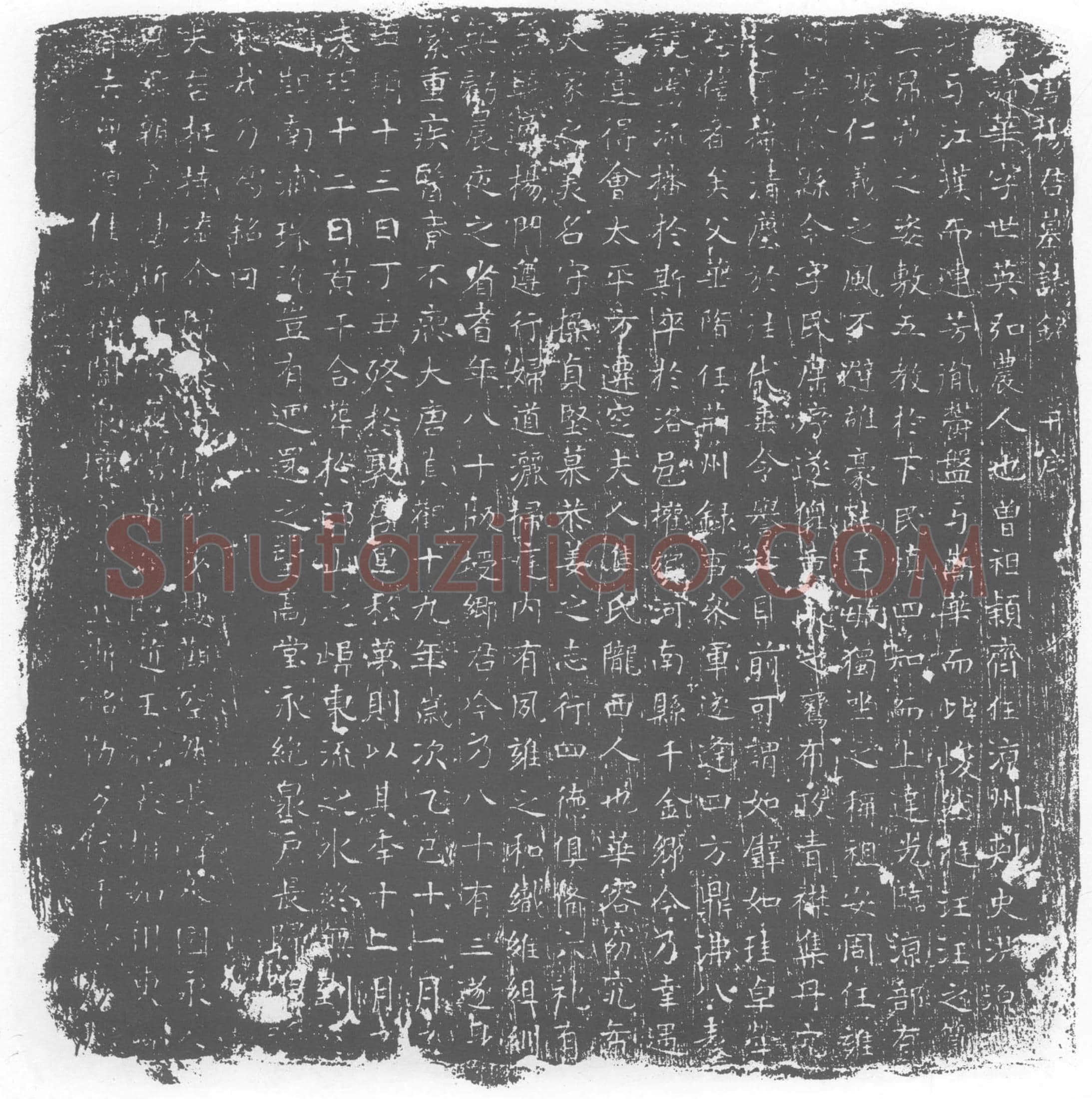 唐杨华墓誌(大唐杨君墓誌铭)
