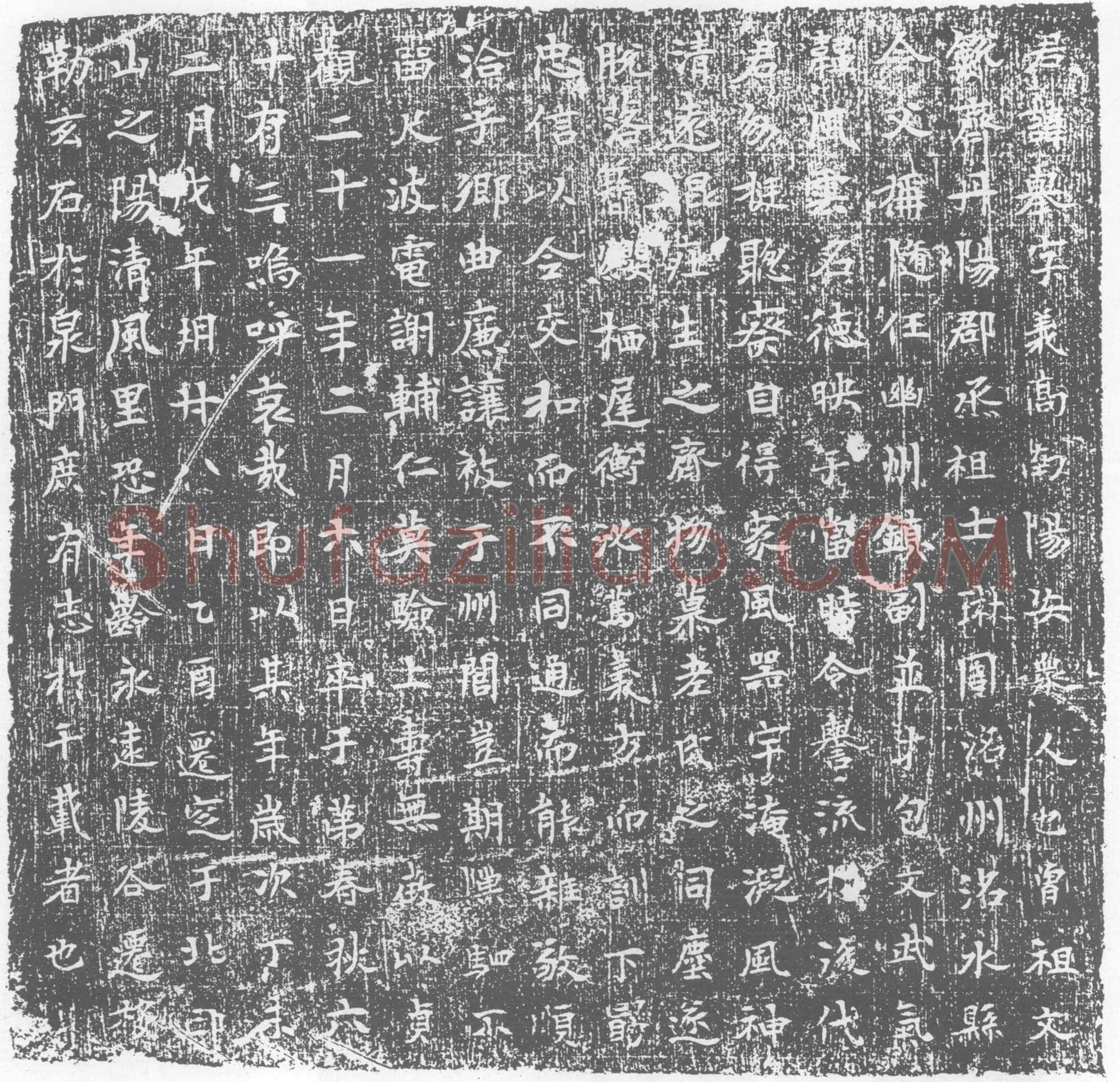 唐 墓誌