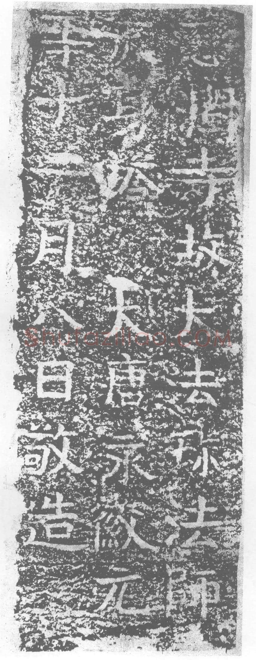 唐 墓誌