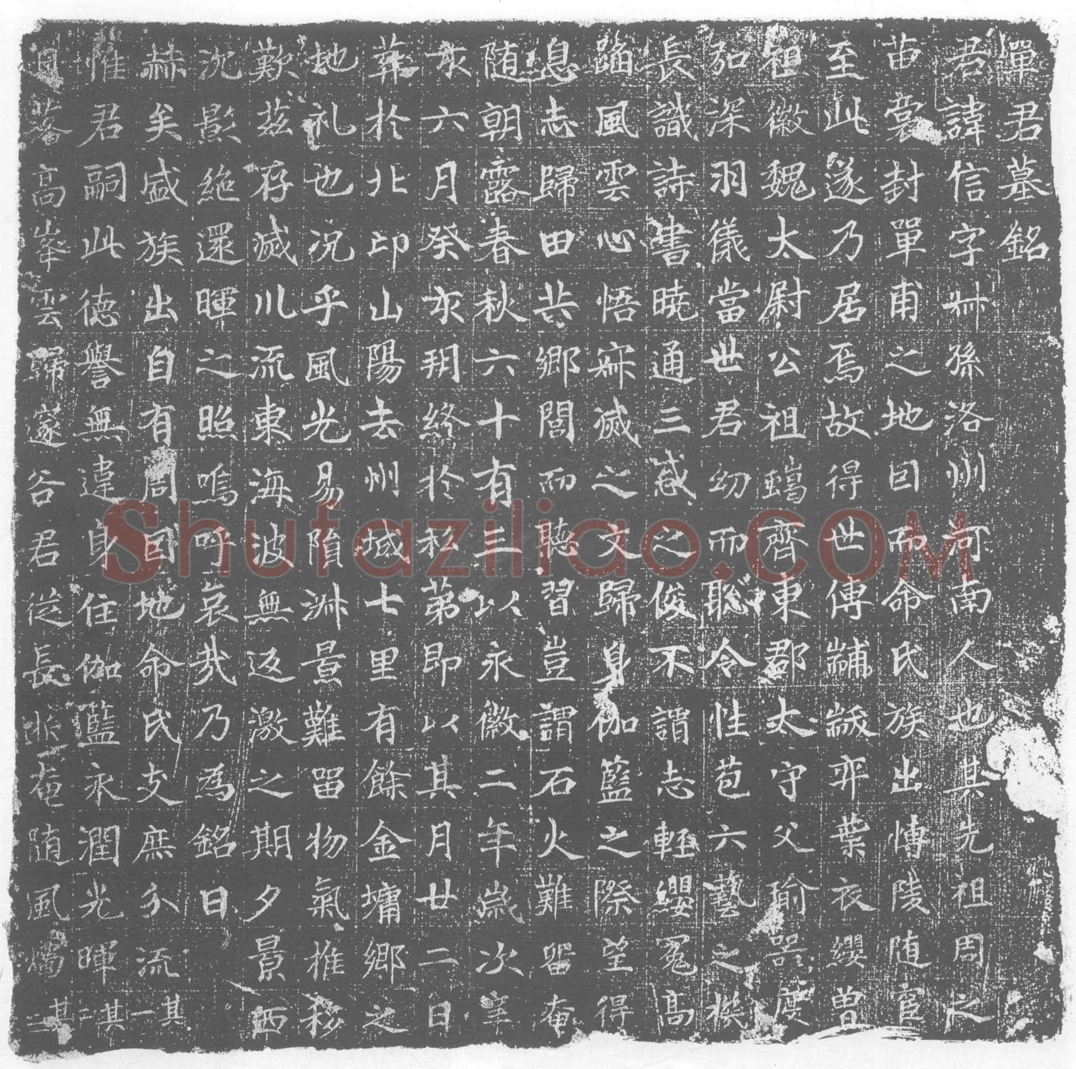 唐 墓誌