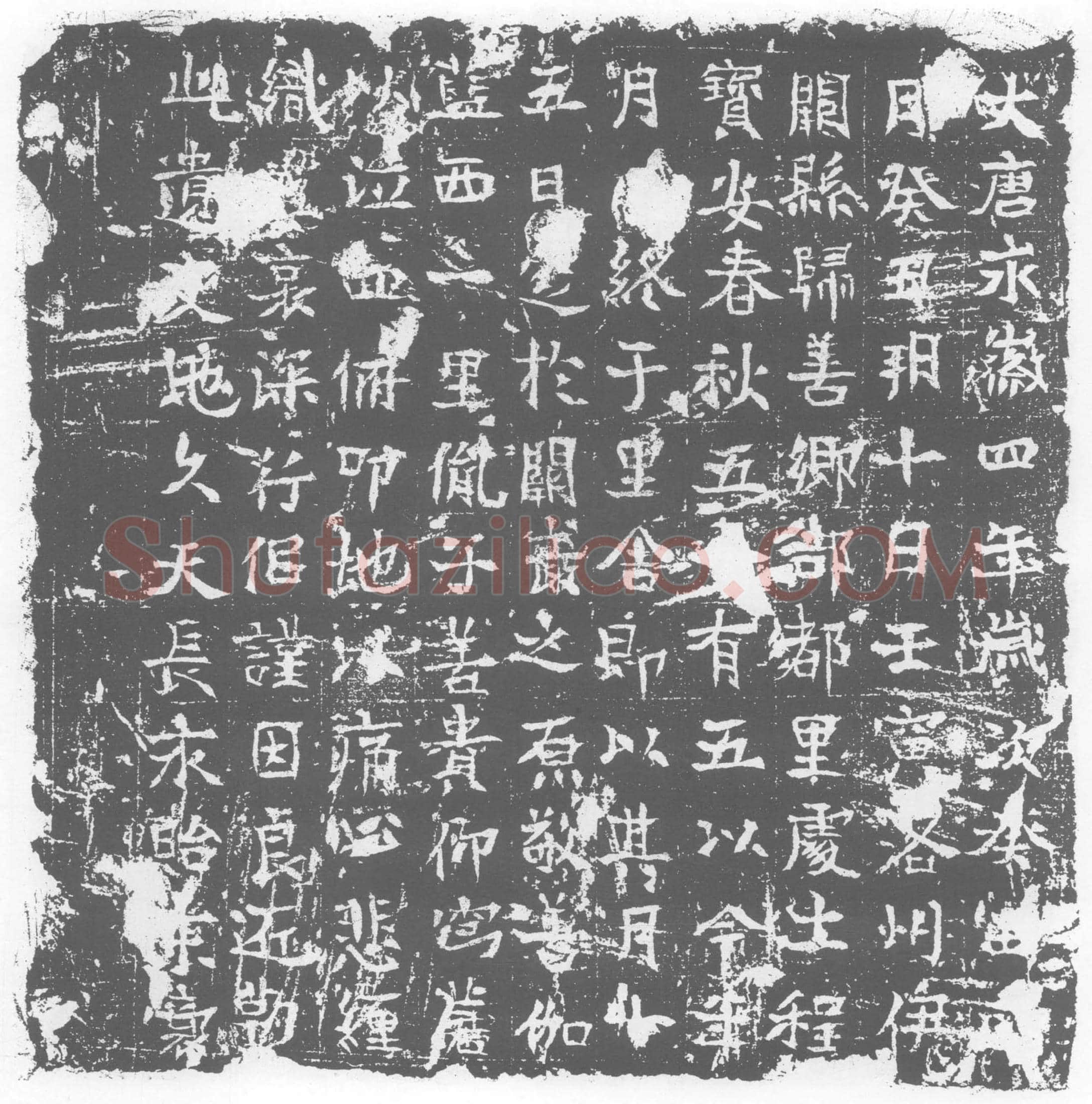 唐墓誌