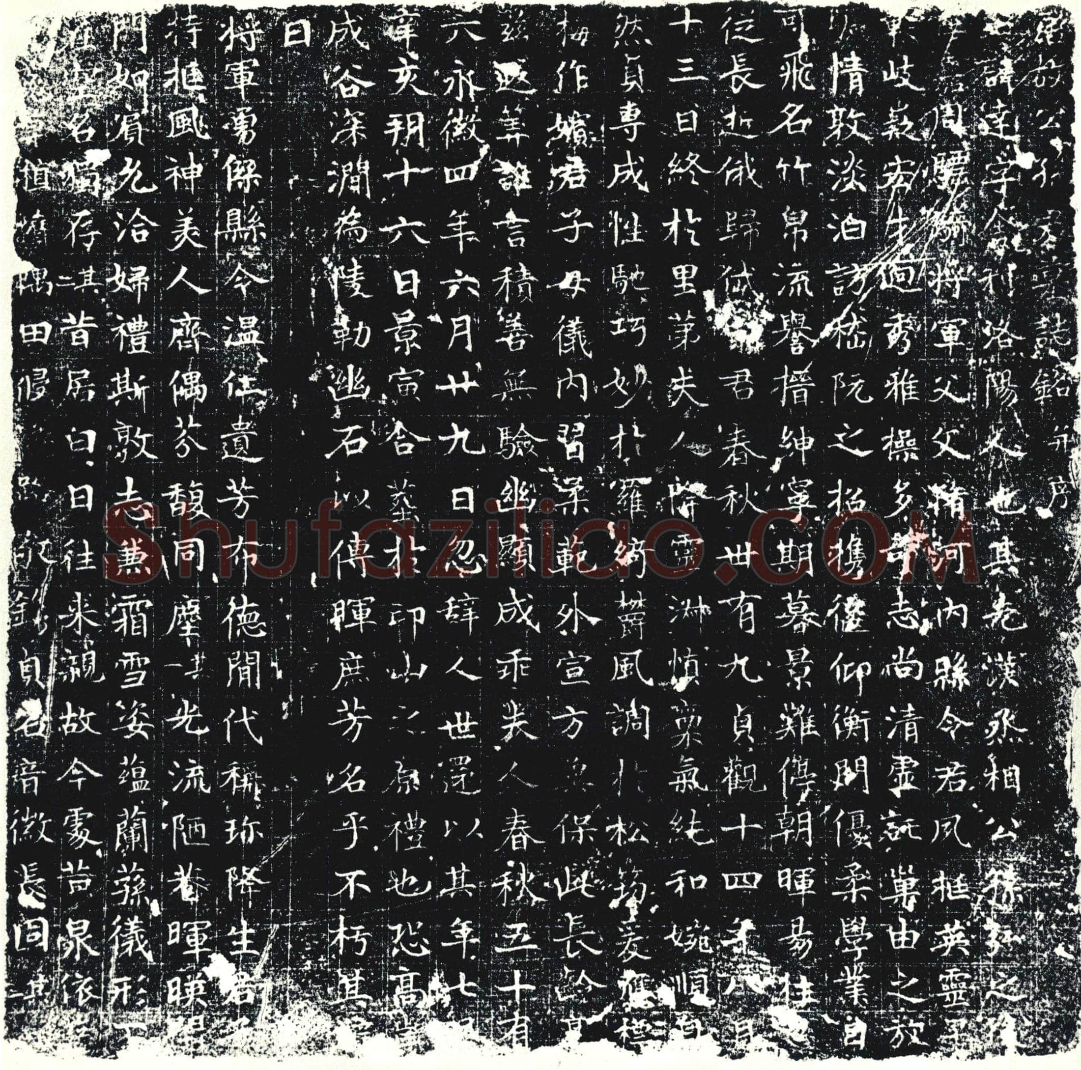 唐 墓誌