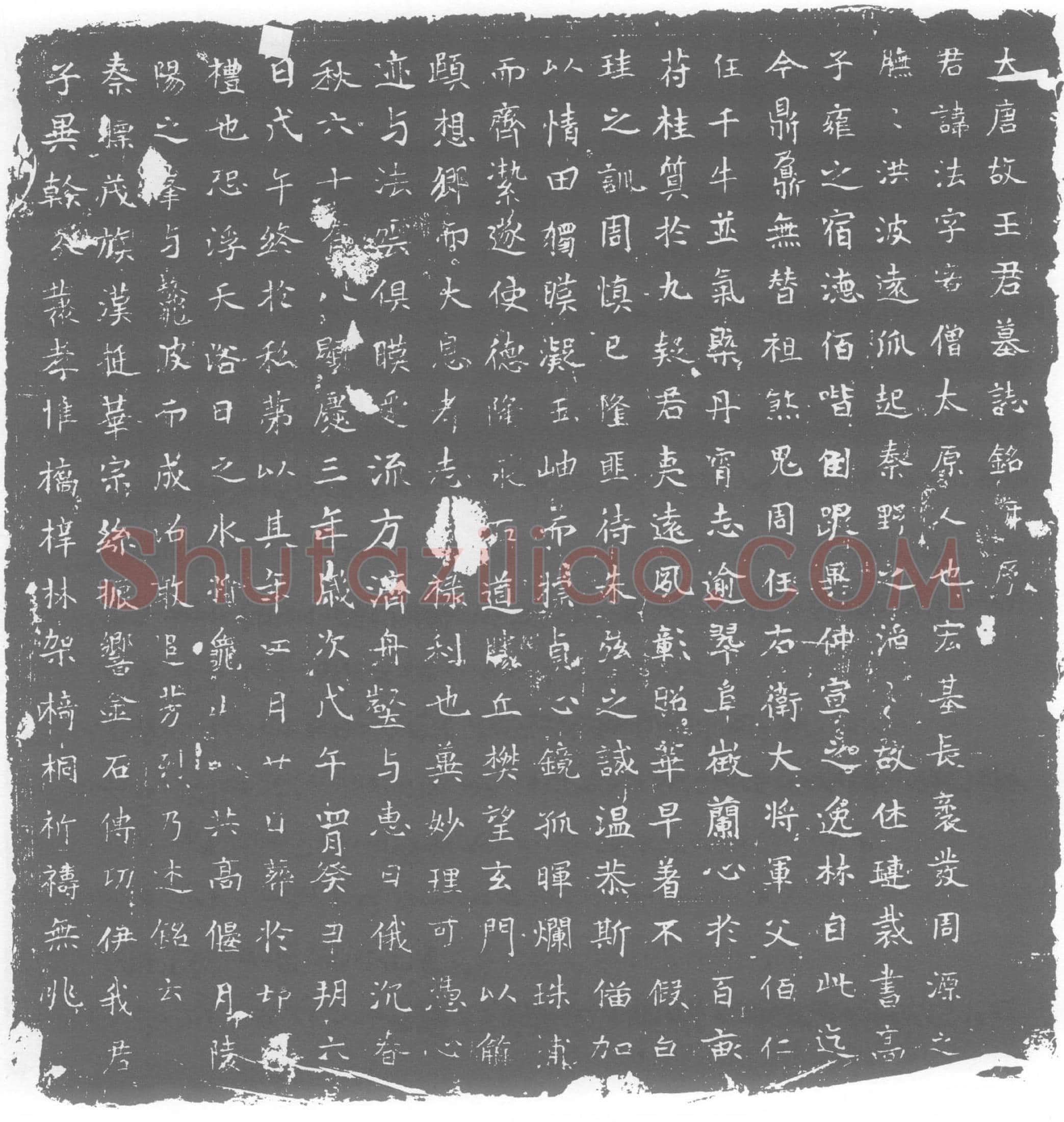 唐 墓誌