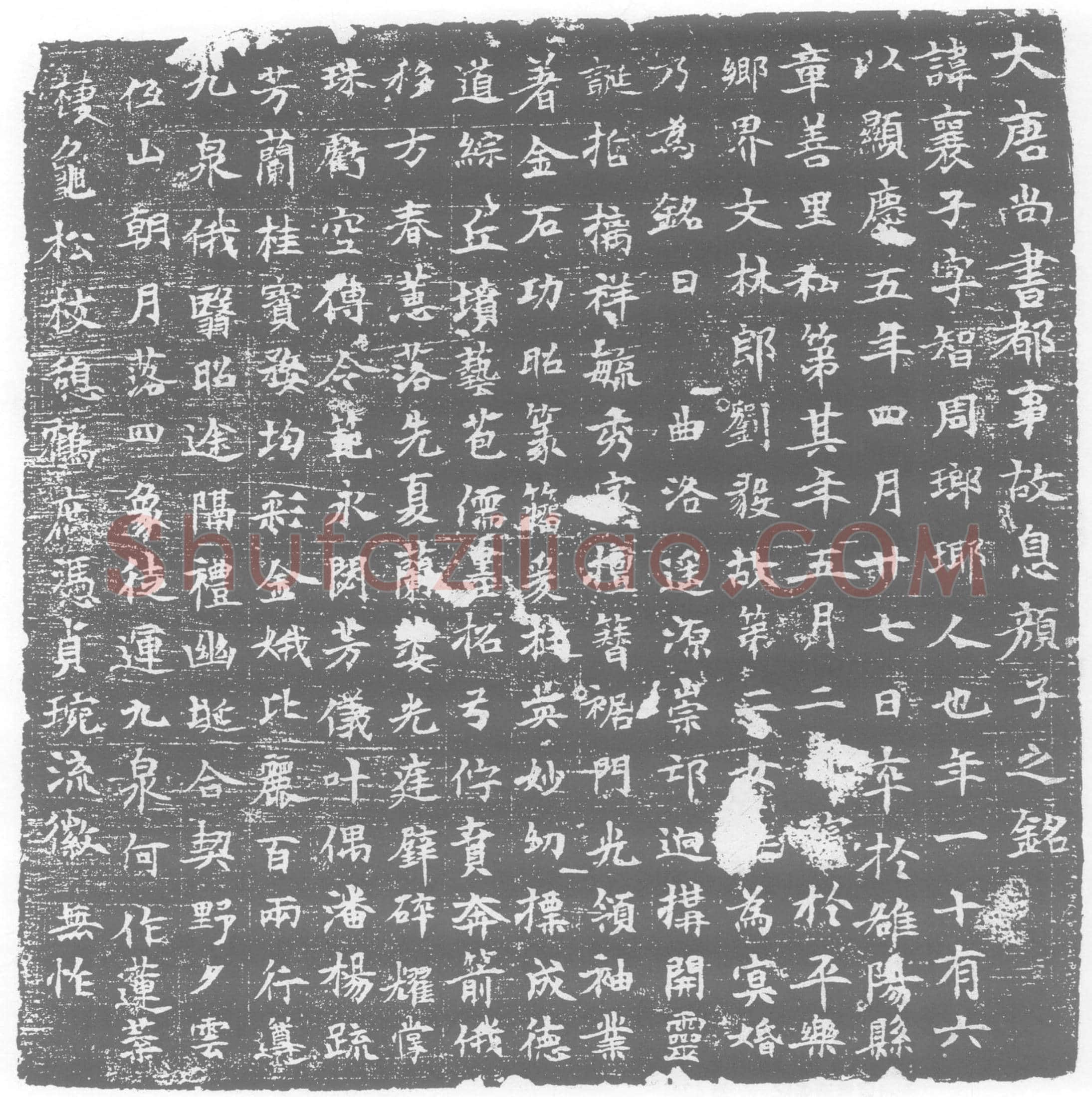 唐墓誌