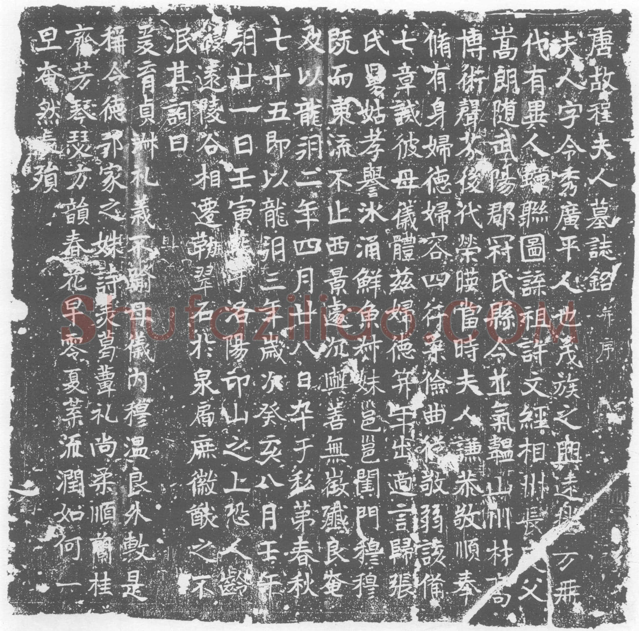 唐 墓誌