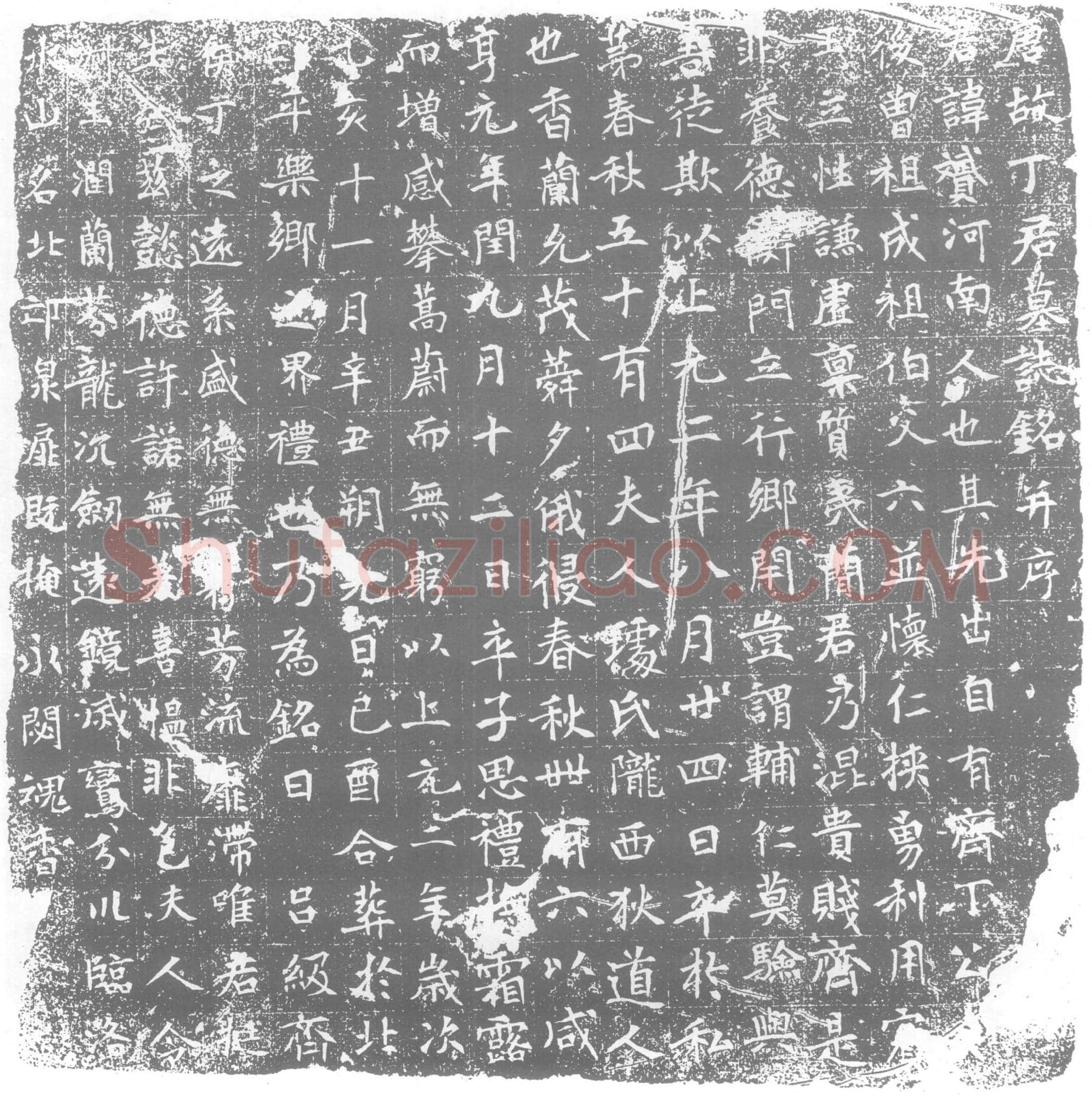 唐 墓誌