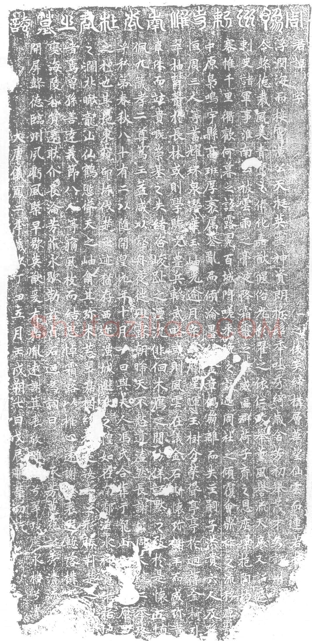 唐墓誌