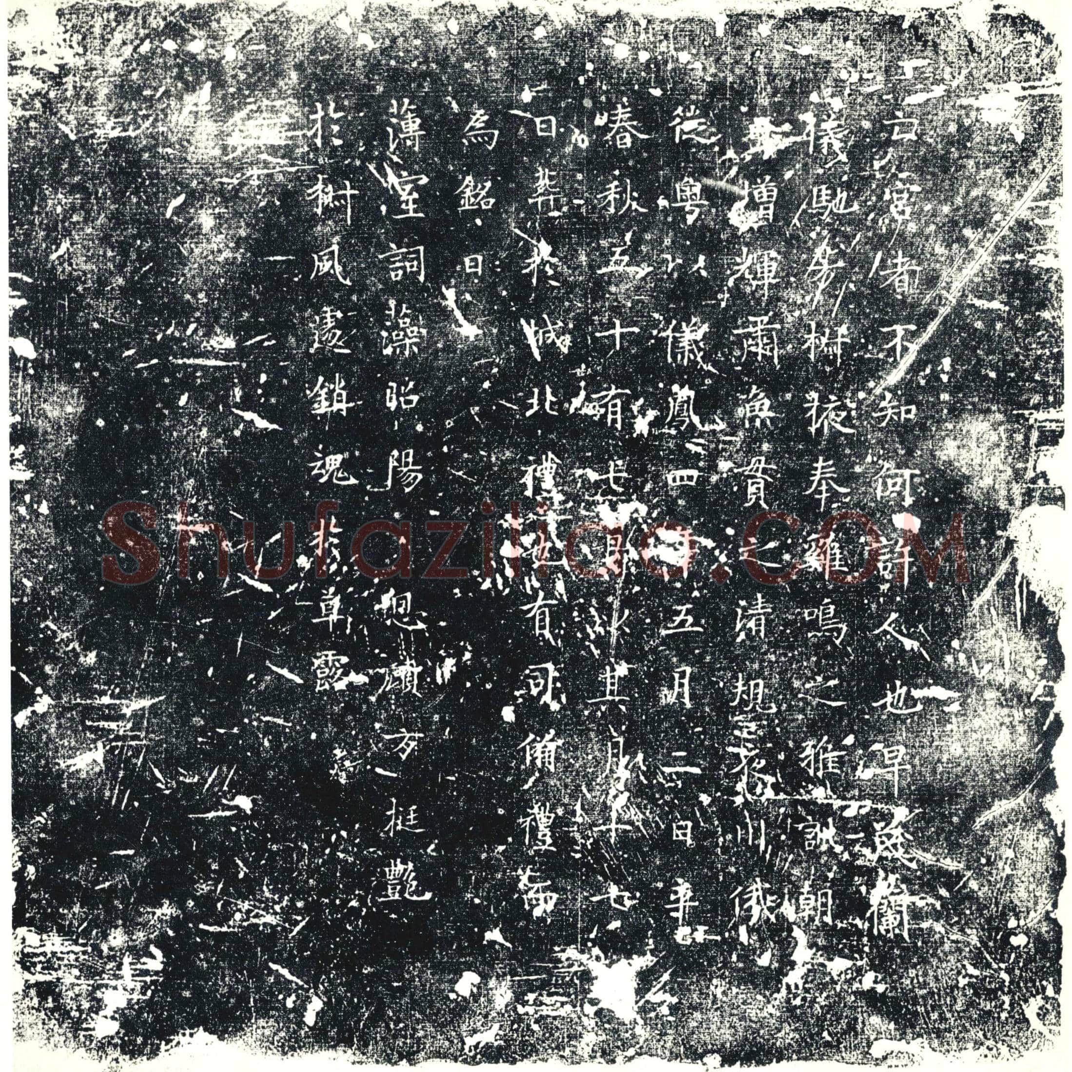 唐 墓誌