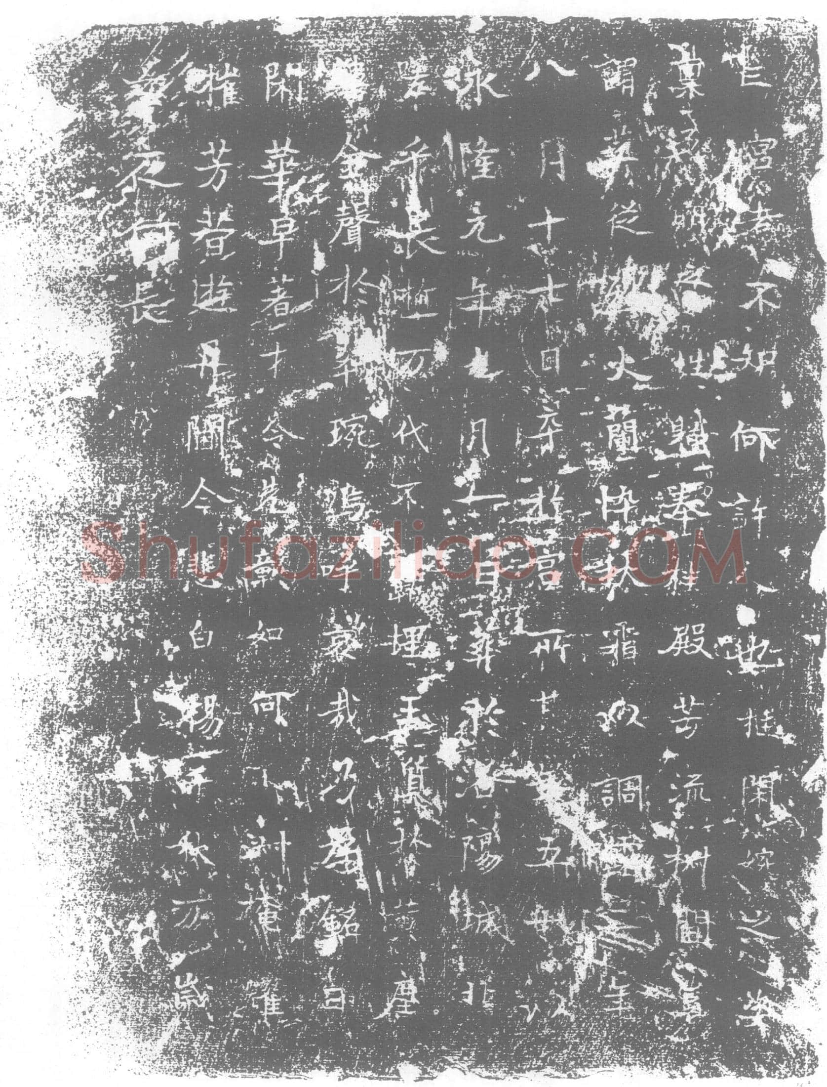 唐 墓誌