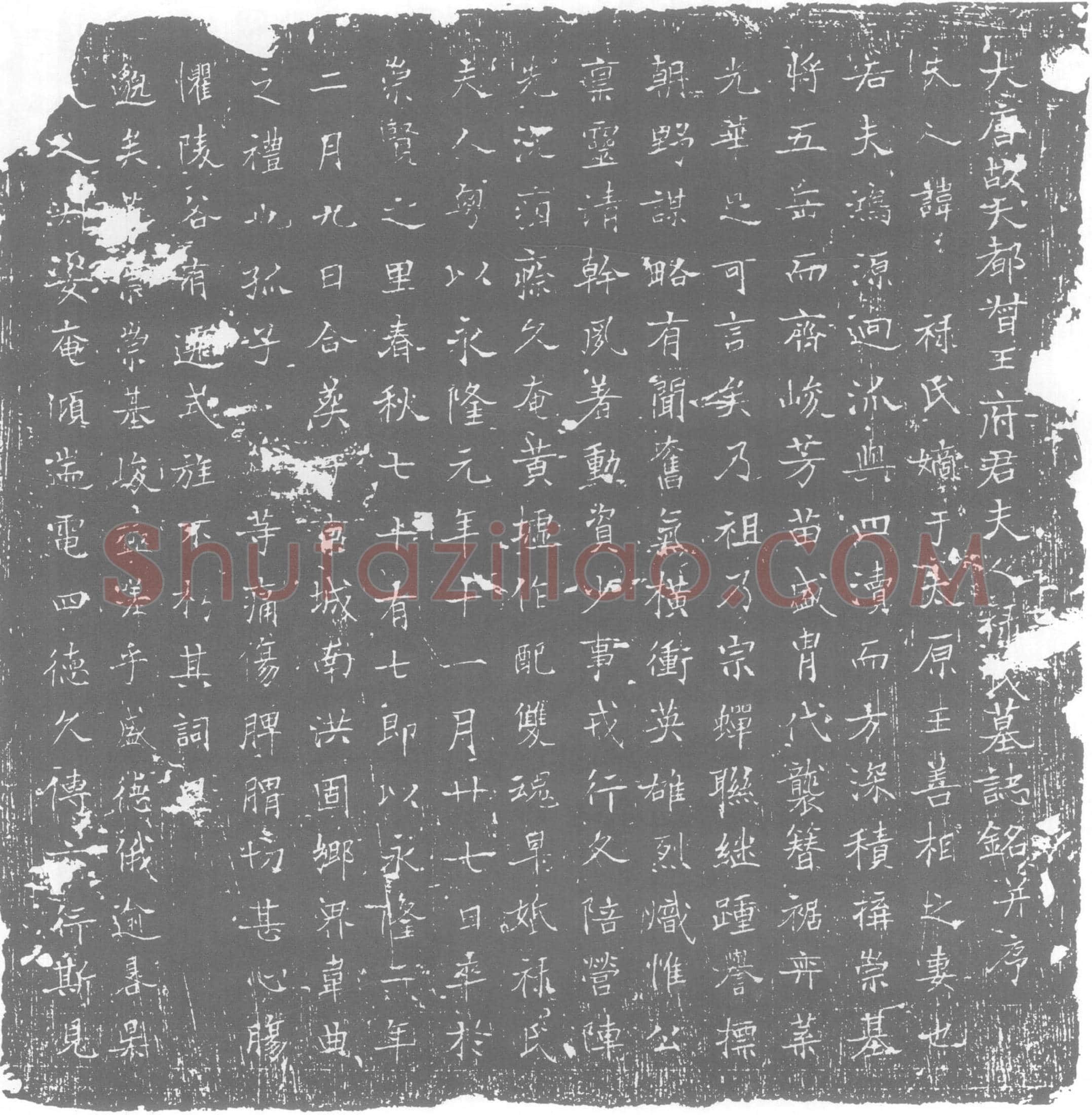 唐 墓誌