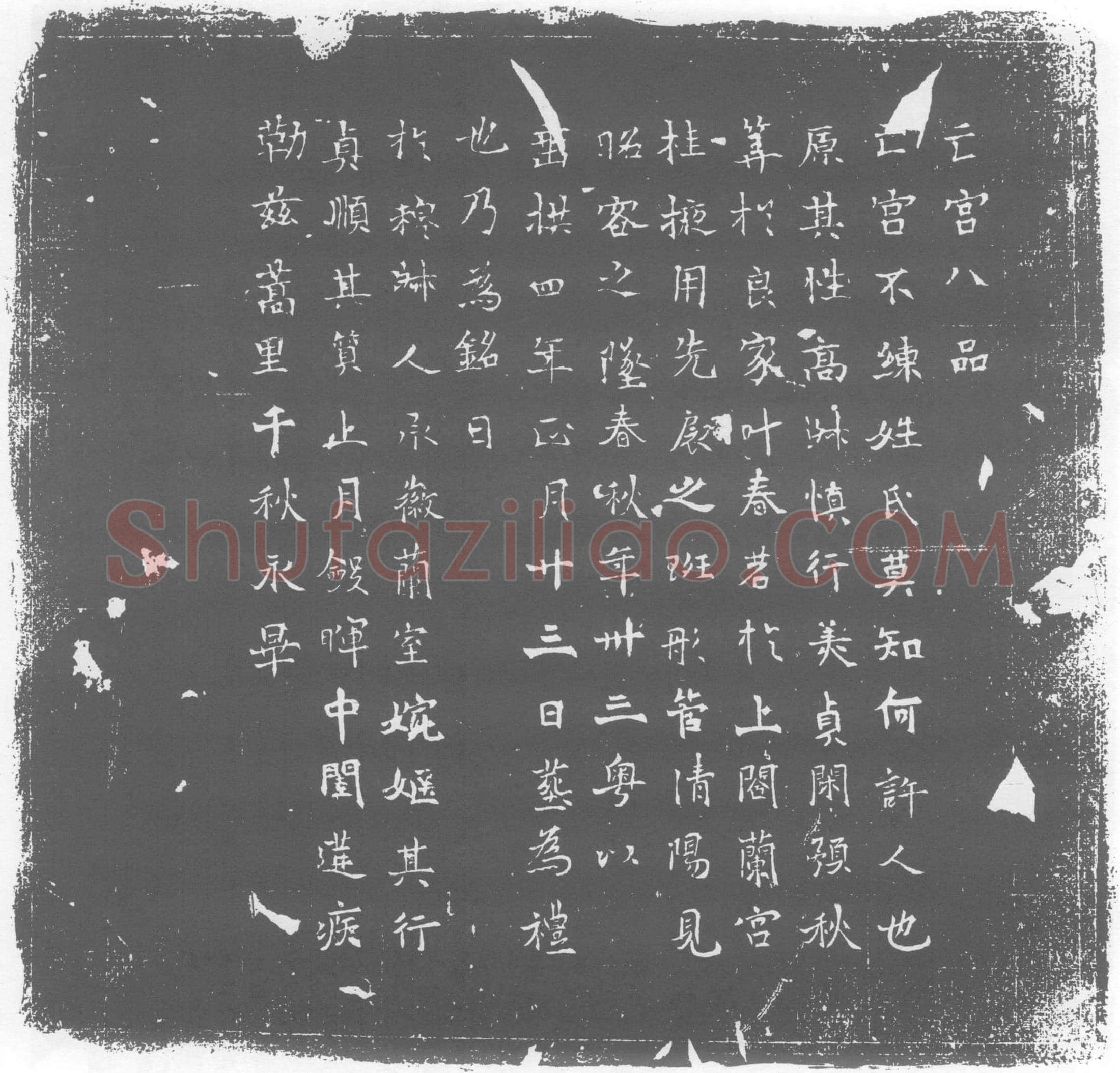 唐 墓誌