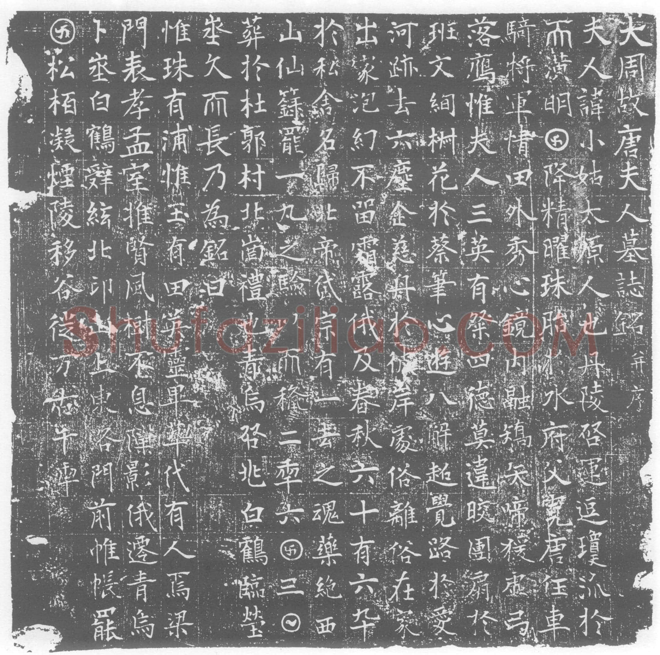 唐 墓誌