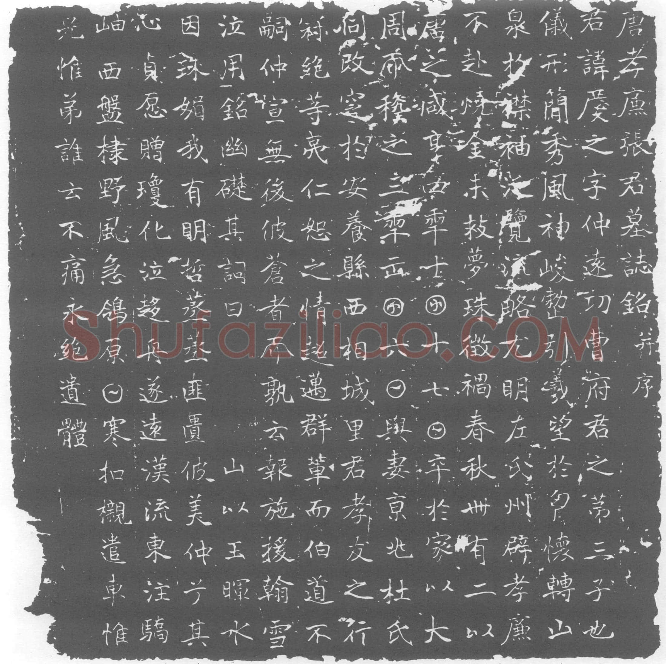 唐 墓誌