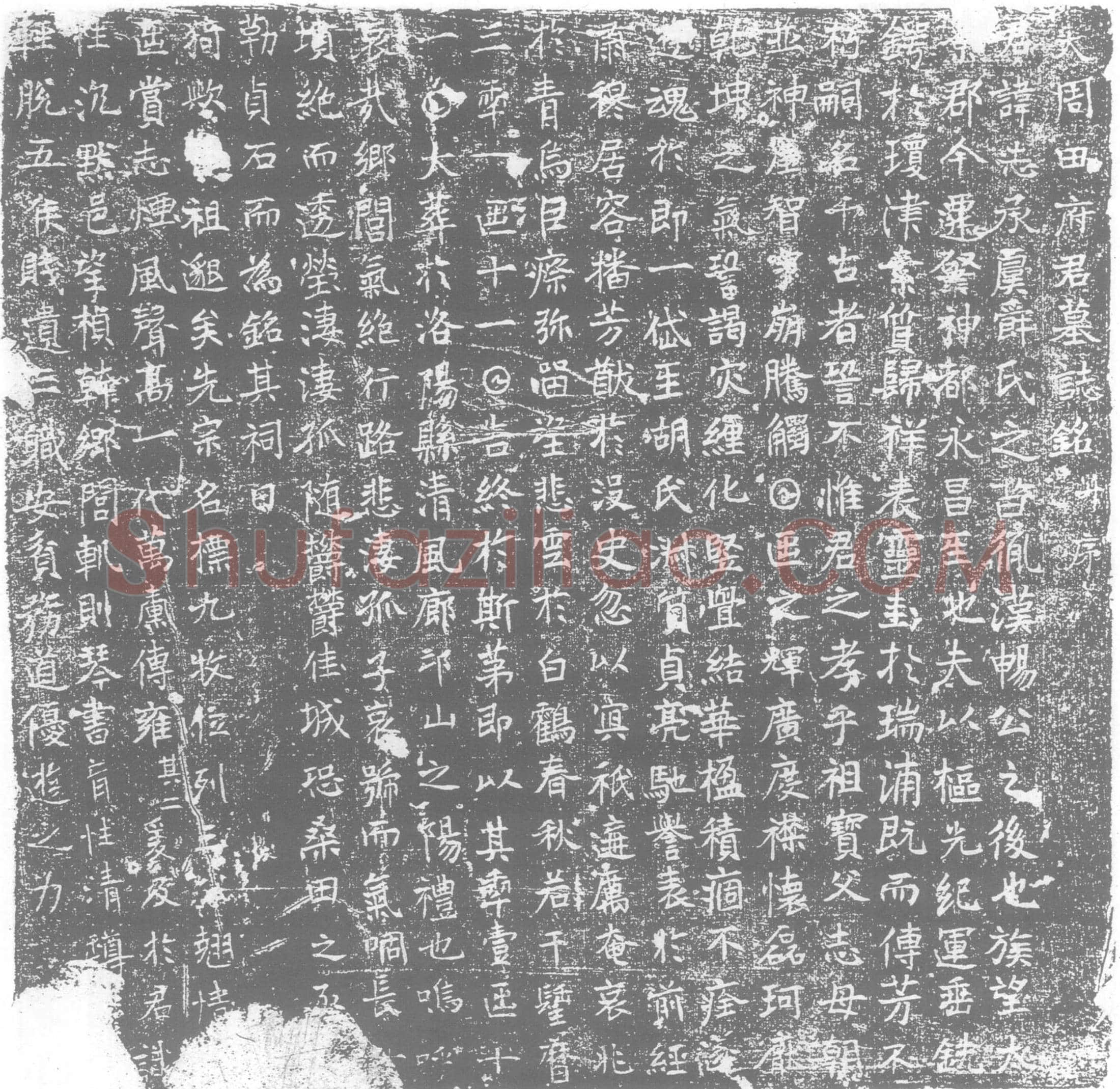 唐墓誌