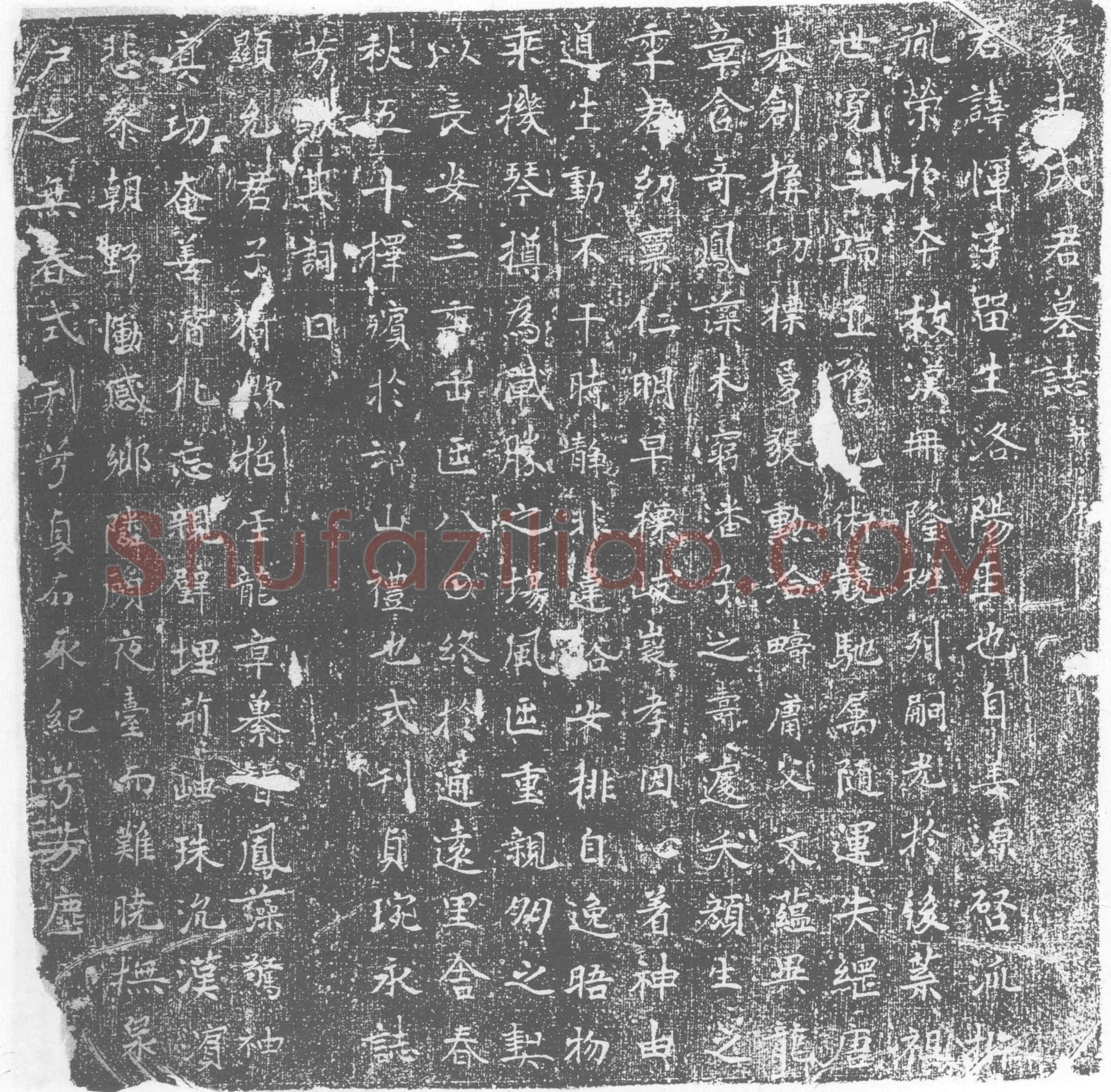 唐墓誌